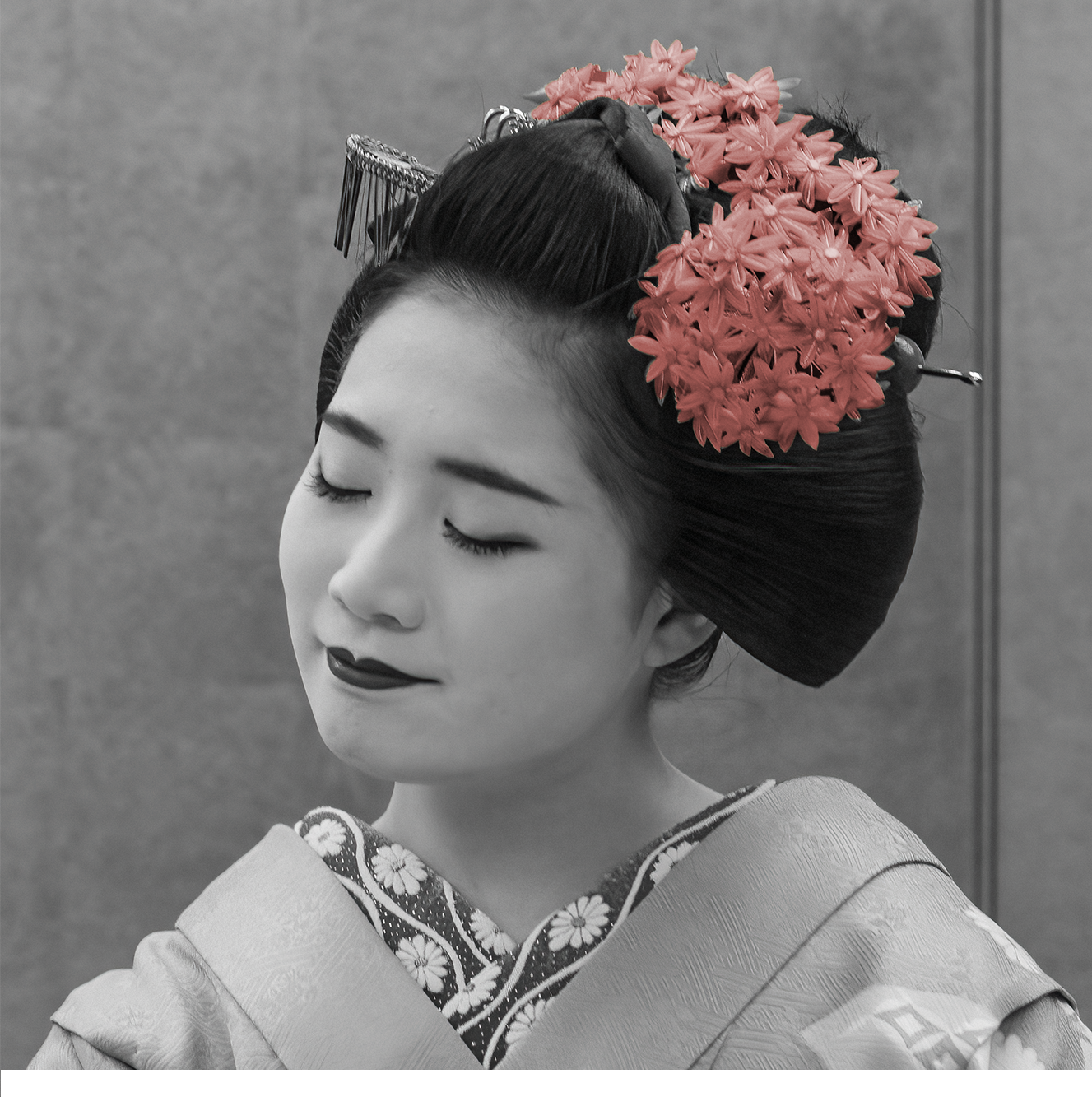 japan_Tae-With-Red-Flowers_no-border.png