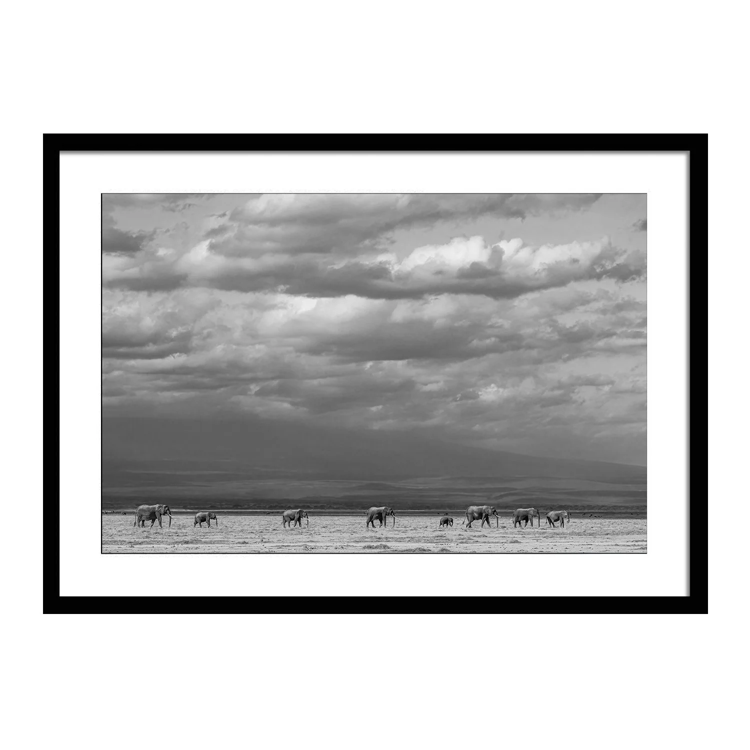 black white_It's Relative_framed.jpg