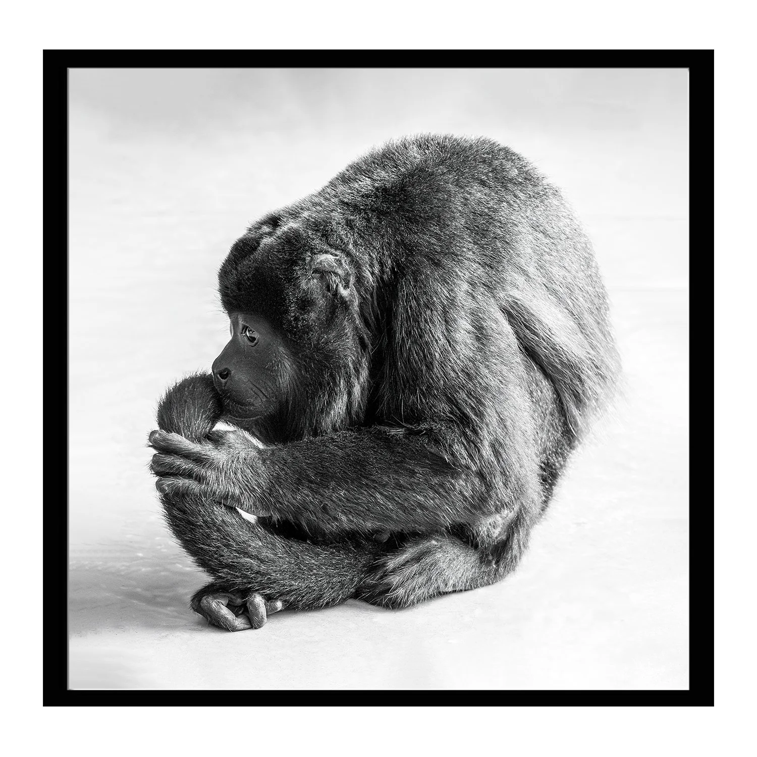 black white_Outcast_framed.jpg