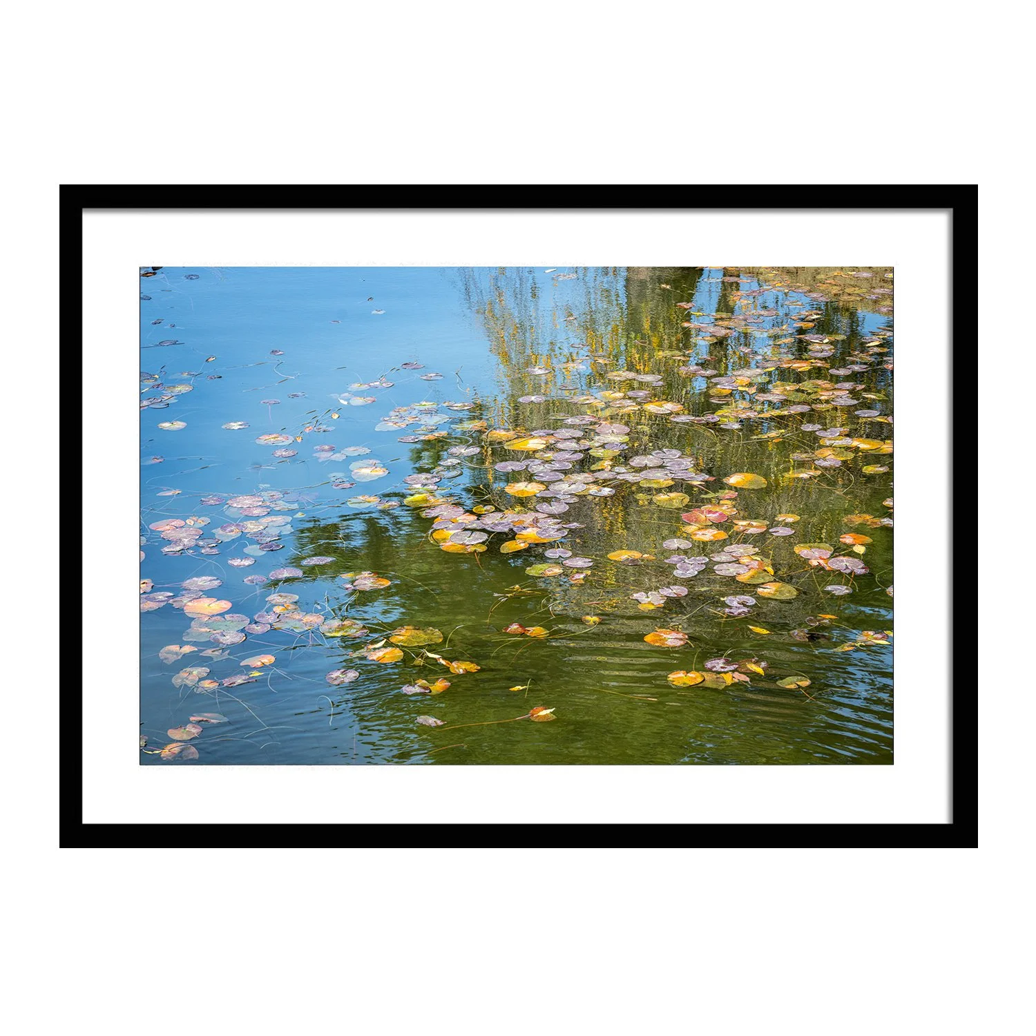 japan_Monet's Dream_framed.jpg