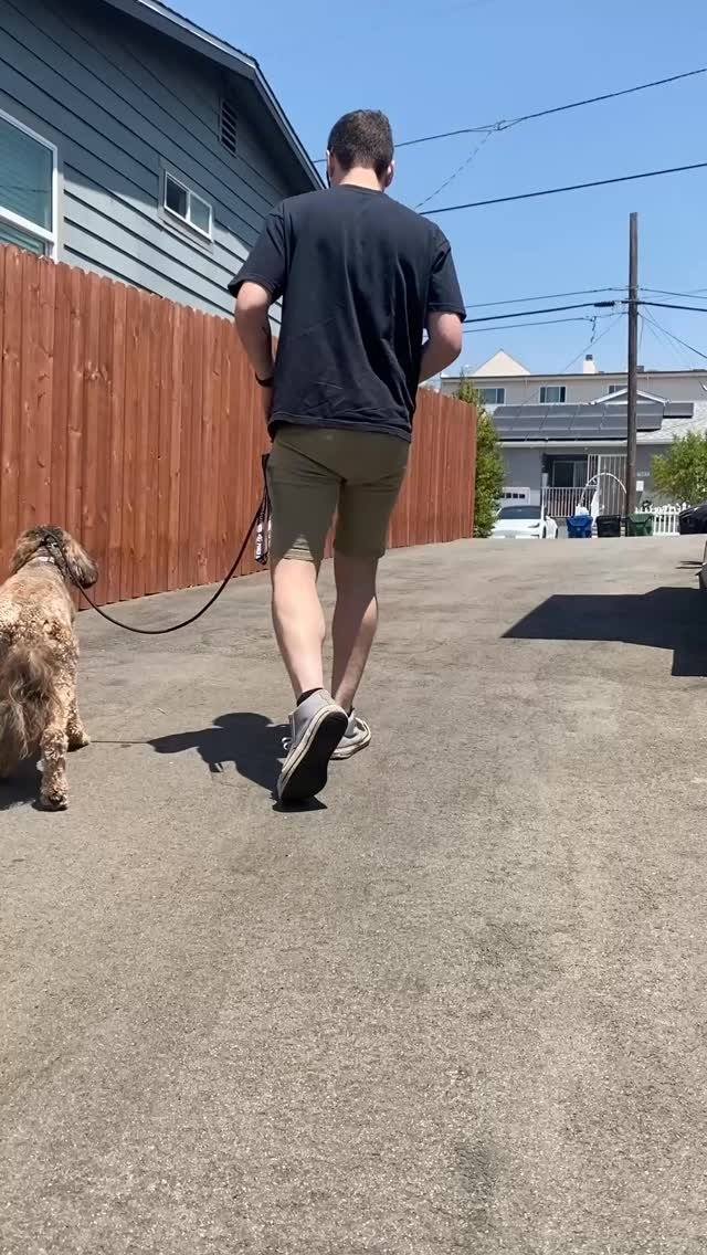 Nyla day 5! Did you notice Kilo & Biscuit being excellent assistants?