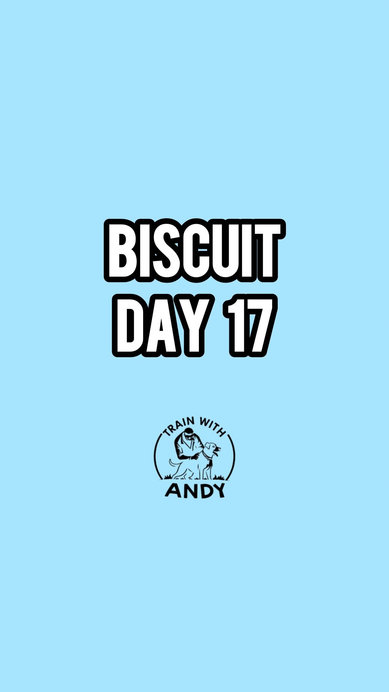 Biscuit day 17!