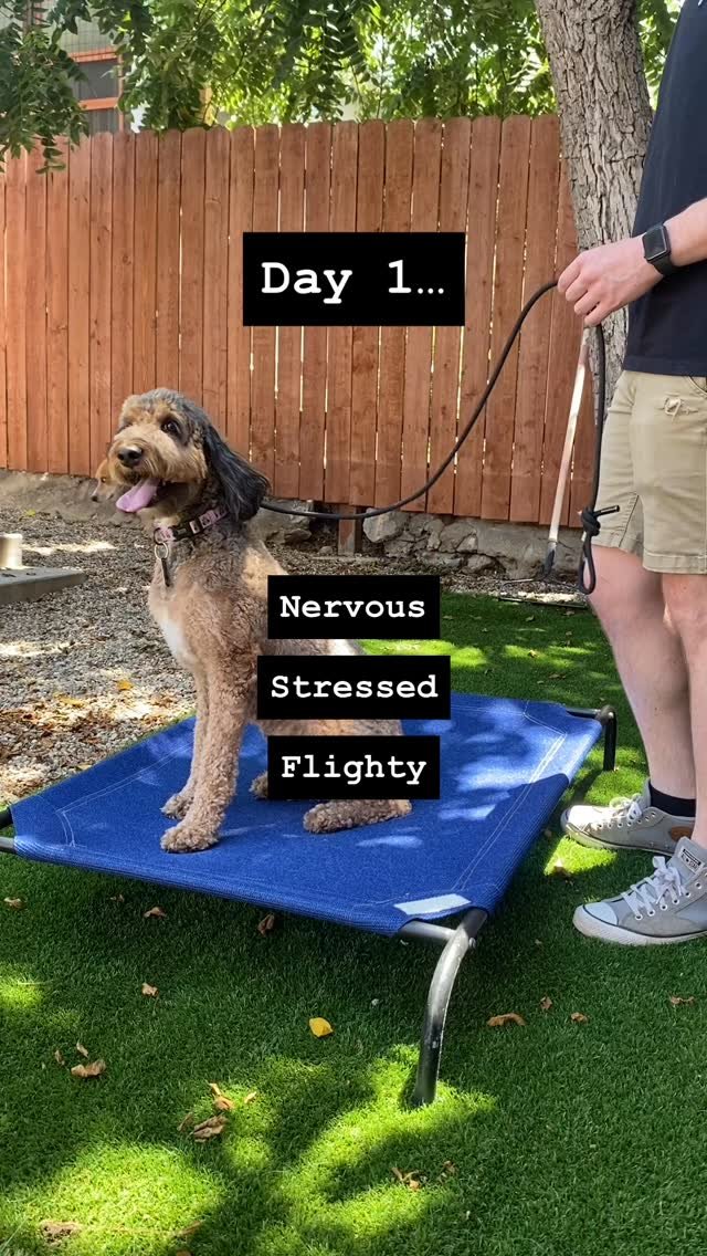 One week in with Nyla and she’s doing great 🩵