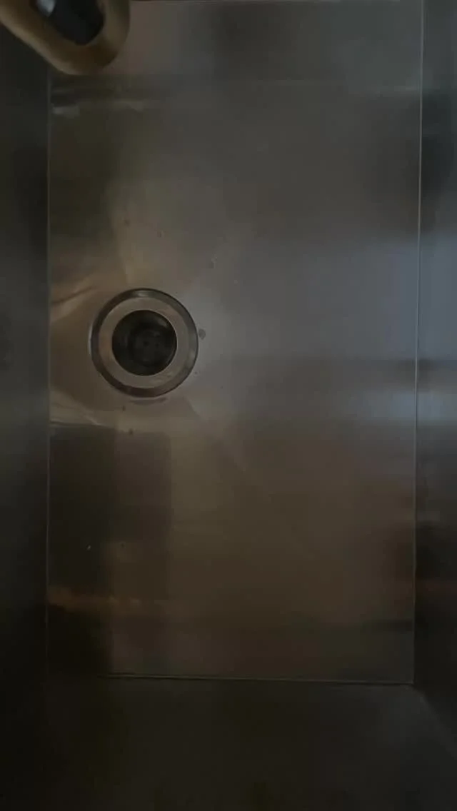 When’s the last time you washed your dog’s bowls?