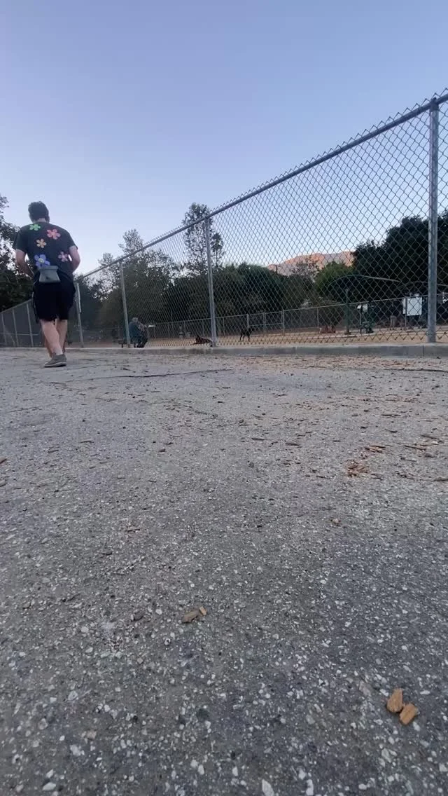This might not look like much, but for a dog-reactive pup like OJ, this is huge. Sitting calmly, staying engaged, and happily taking food right next to a dog park shows just how far he’s come. His training hasn’t just masked his reactivit