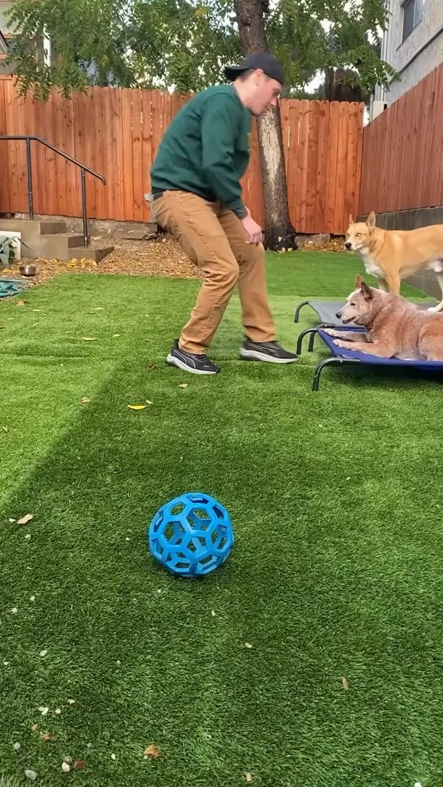 Here’s a nice example of using spatial pressure with Pierre. The goal here isn’t to move him around with the leash, but to guide him with my body—turning that pressure on and off at the right moments.
It works best once a dog alrea