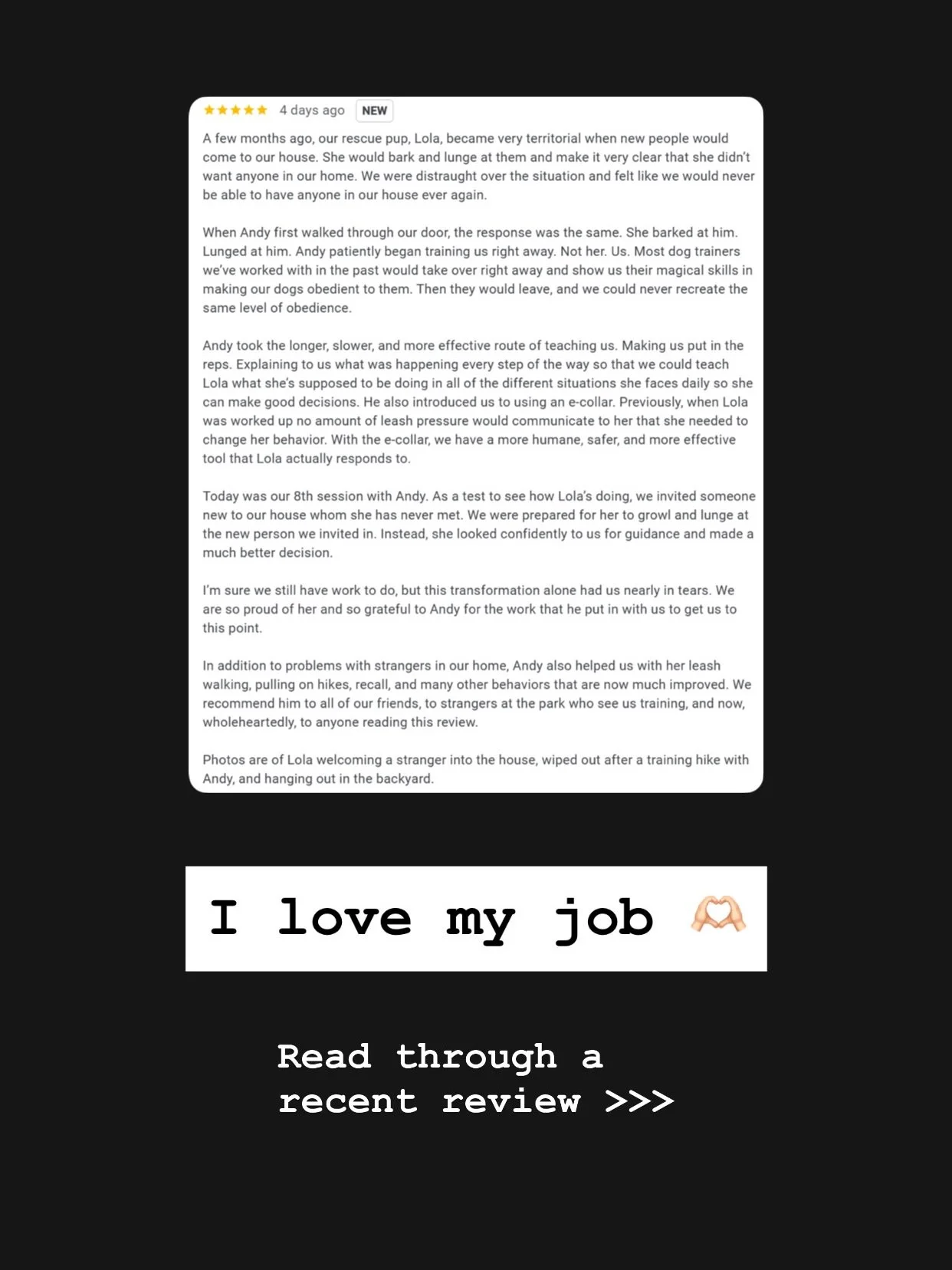 I did a terrible job getting content from this one, but Lola and her owners were an absolute pleasure to work with. 

You could tell from day one how dedicated they were and how willing they were to put in the time it takes to actually change behavio