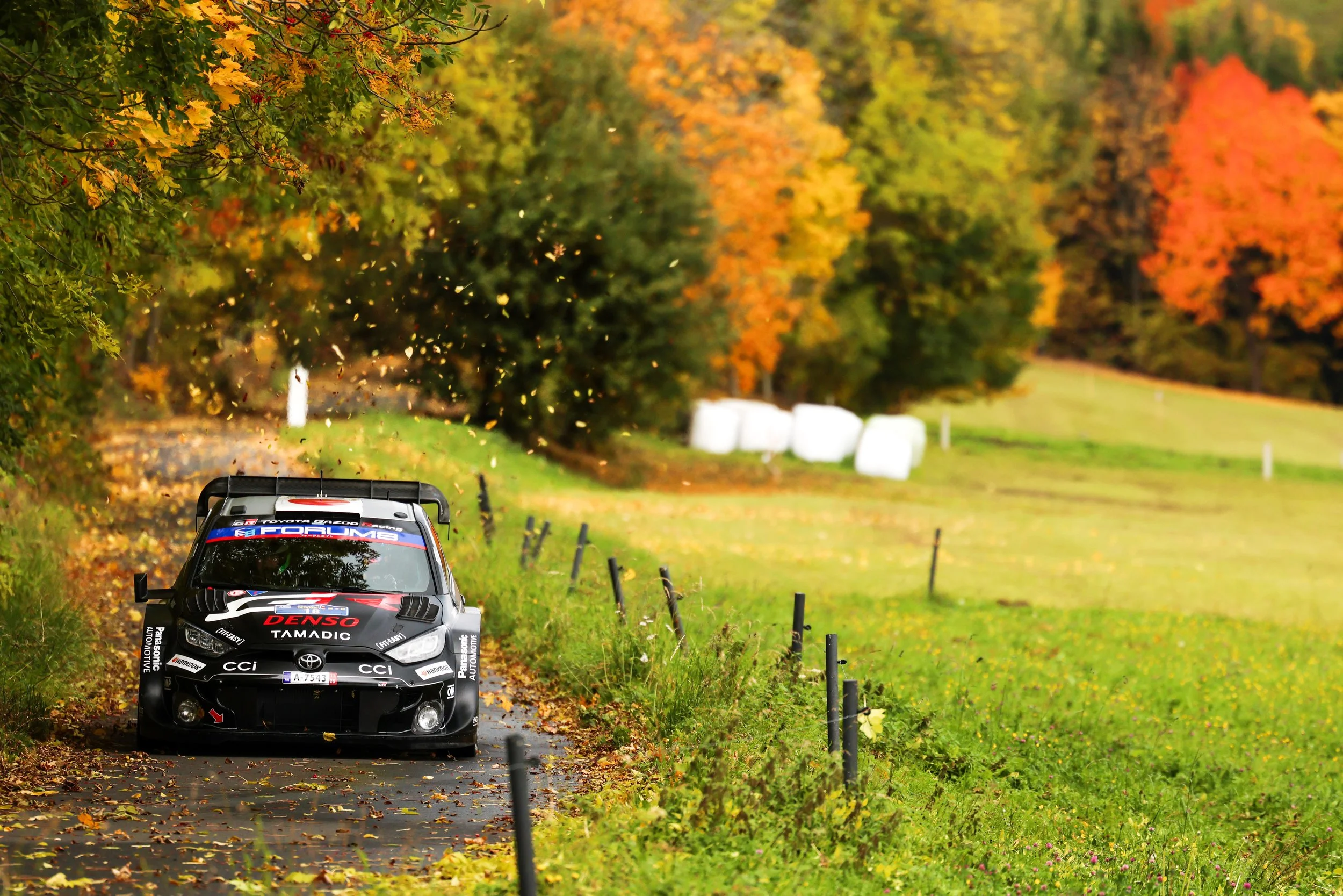 Foto 2025-10-18 10 51 32.jpg