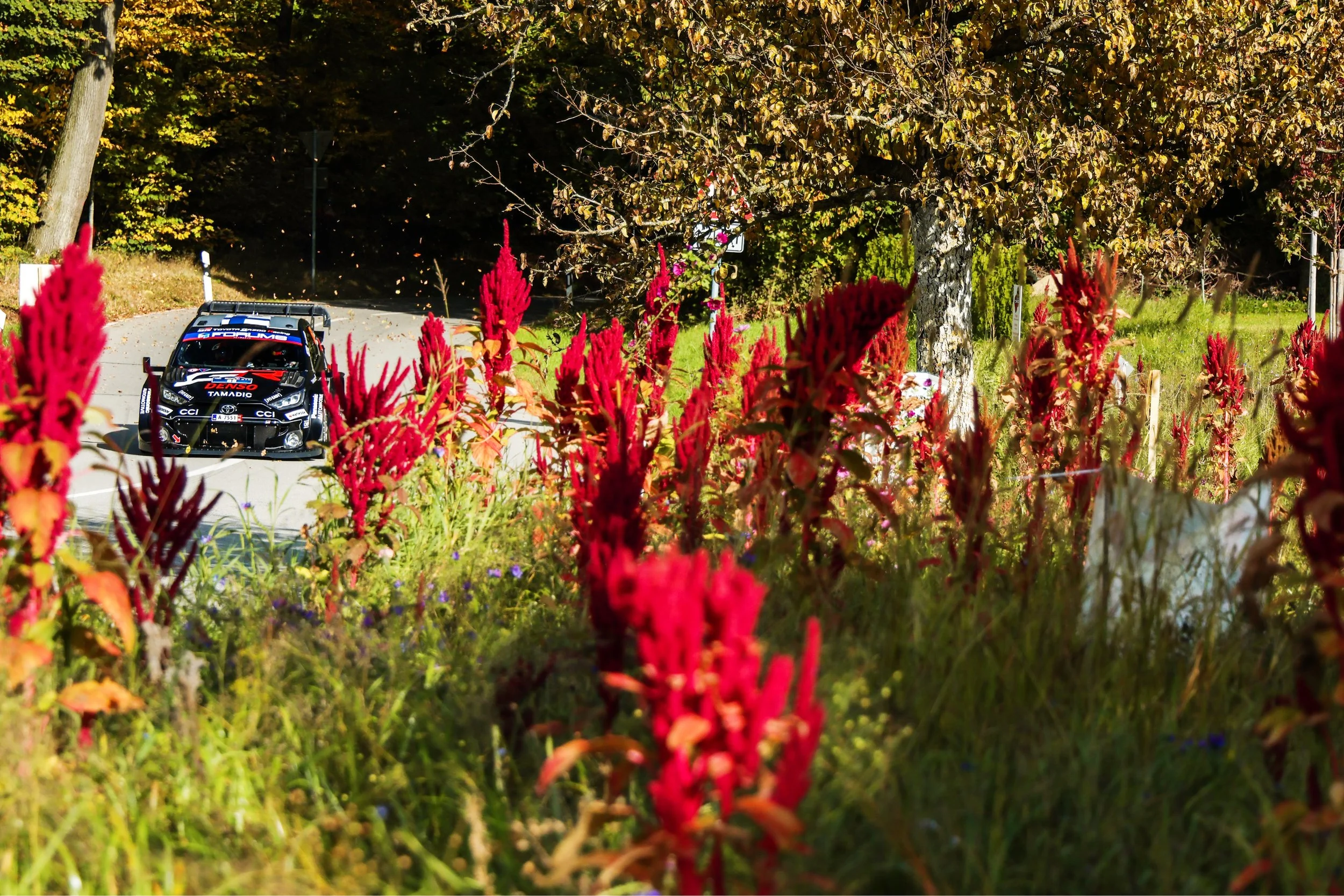 Foto 2025-10-16 14 37 06.jpg