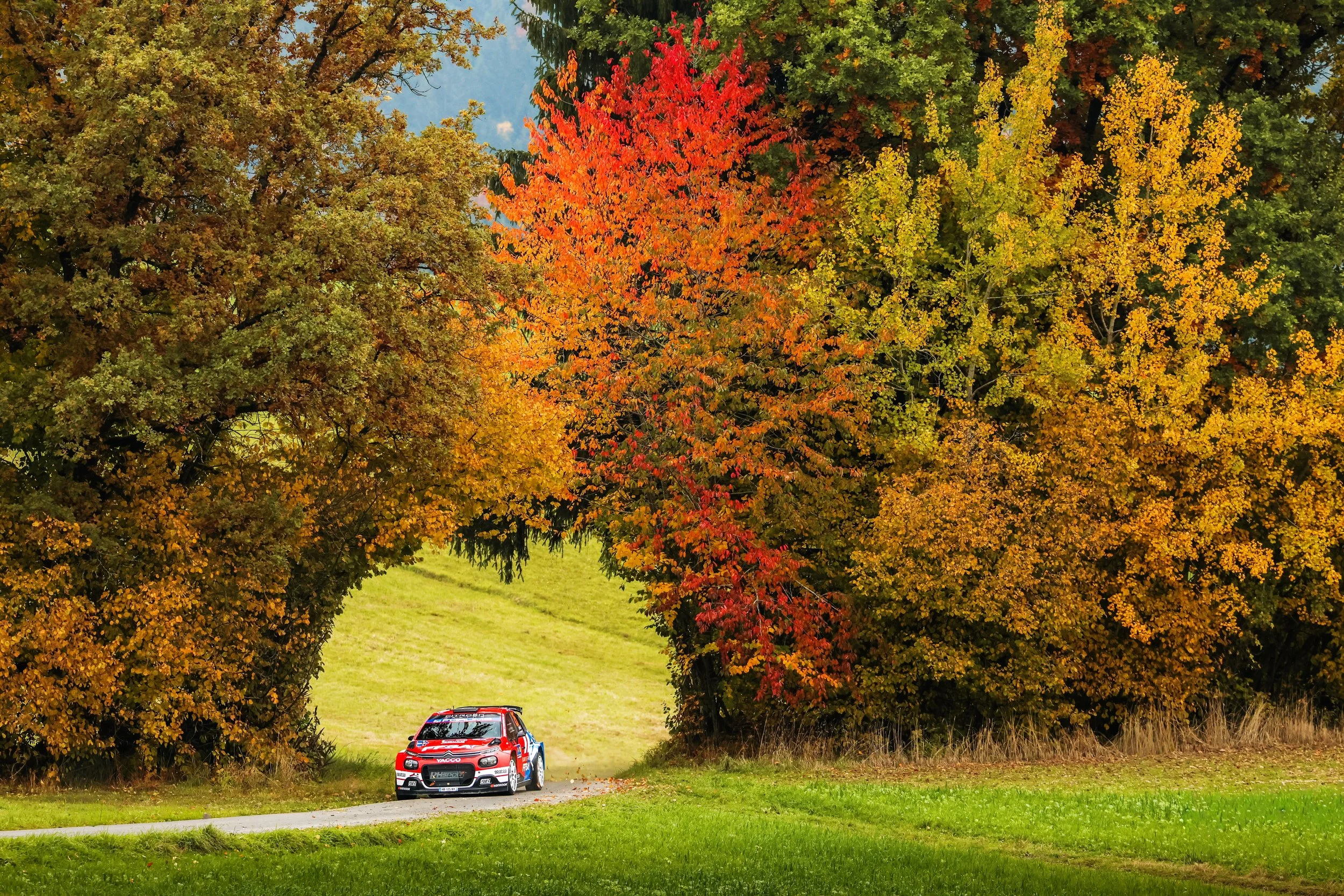 Central European Rally 2025