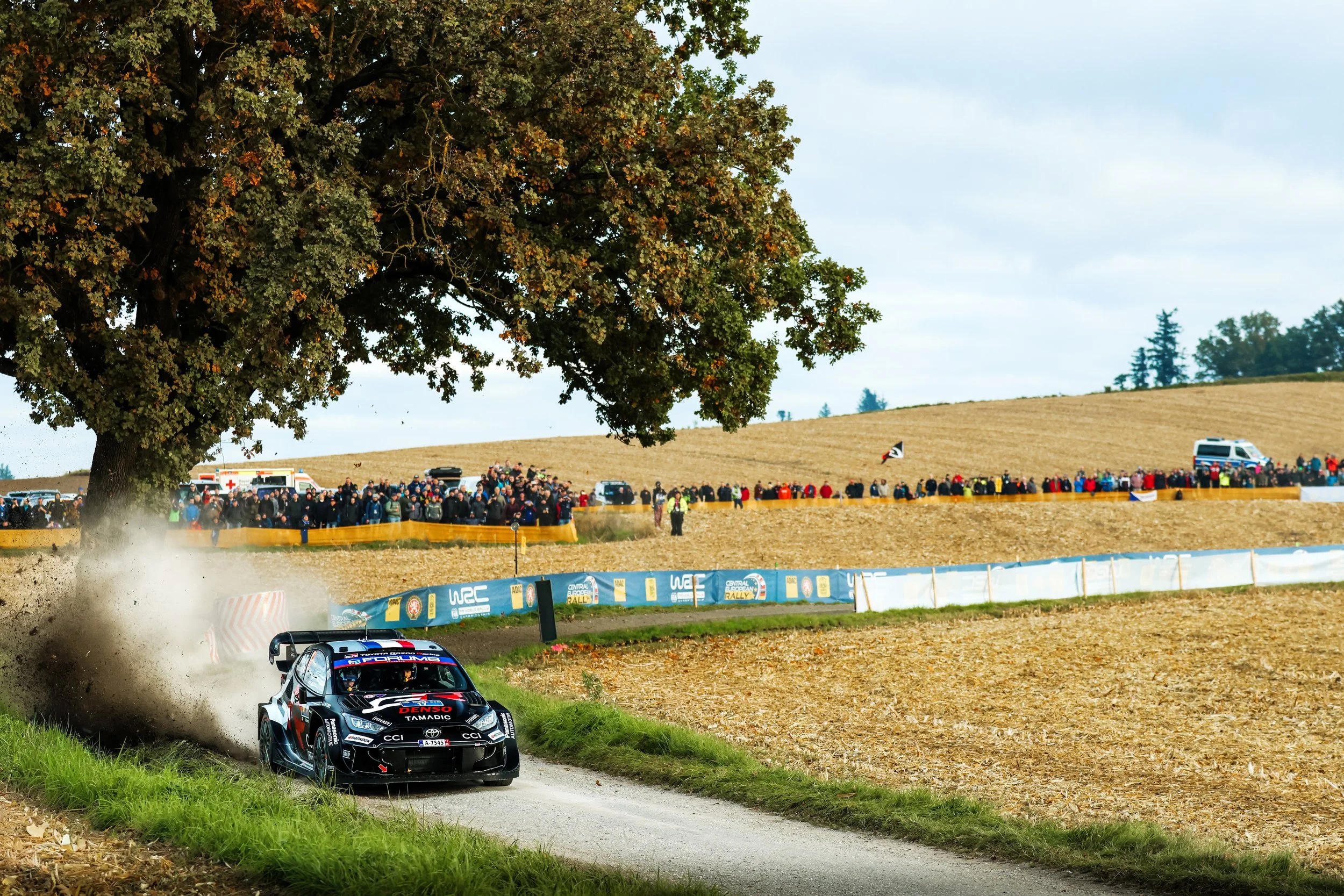 Foto 2025-10-16 08 58 07.jpg