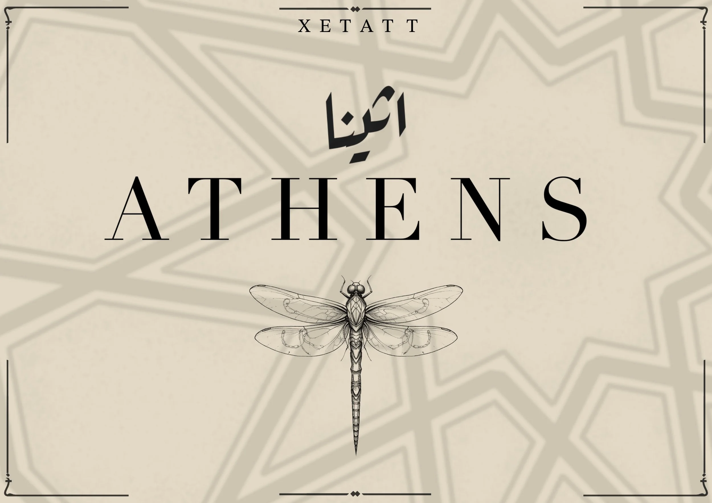 A M S T E R D A M  (Copy)