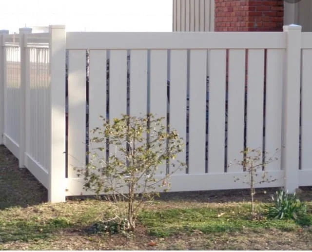 White vinyl privacy fence with two small bushes in front, one larger and one smaller, in a yard with grass.