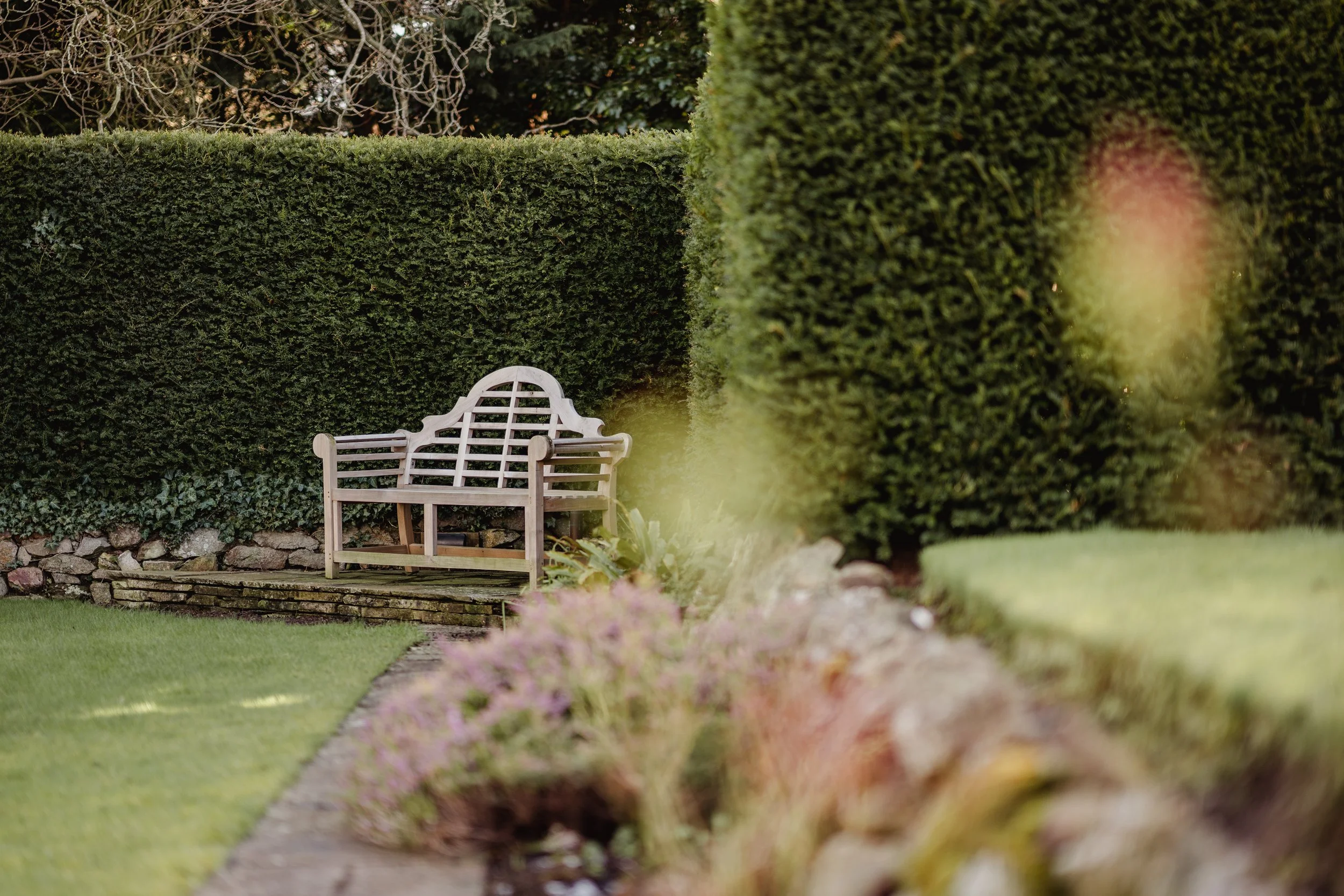 Empty wooden garden bench on stone steps in front of tall, dense, neatly trimmed green hedges in a landscaped garden.