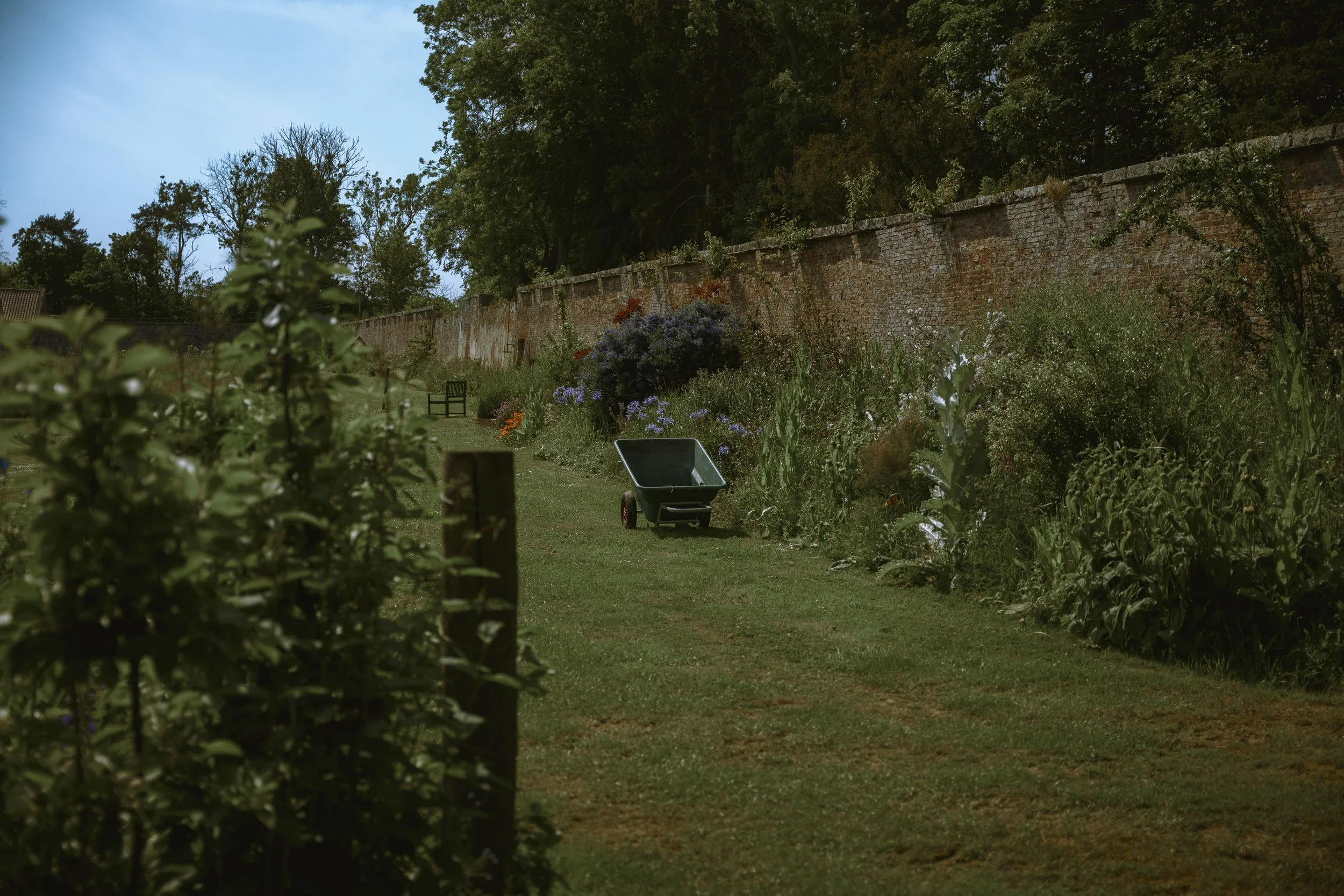 A garden scene with a grassy path, flower beds, a wheelbarrow, and a brick wall in the background.