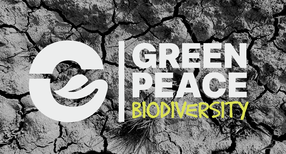 Screenshot 2024-02-14 at 00.23.50.png