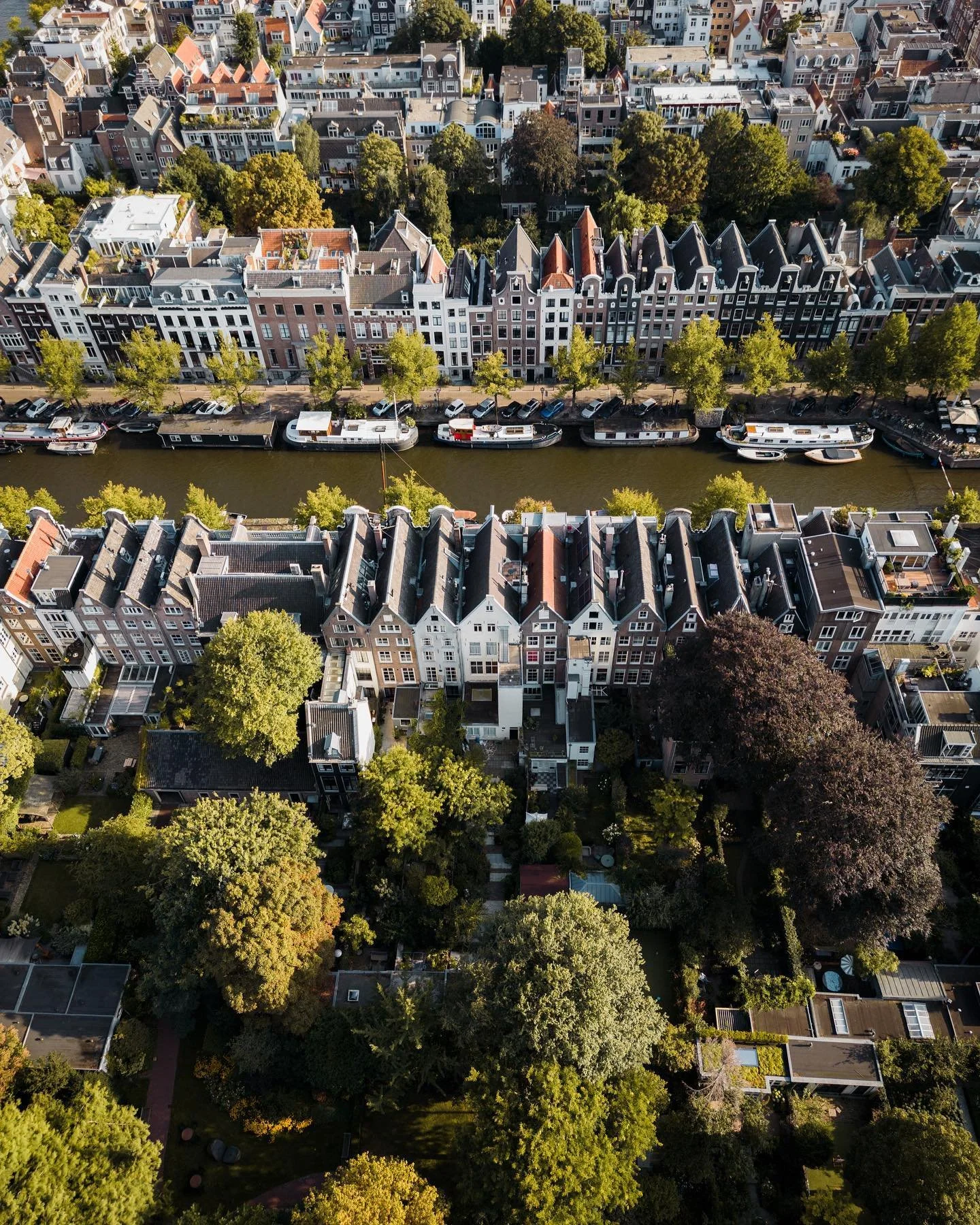 Canals of Amsterdam 🚤