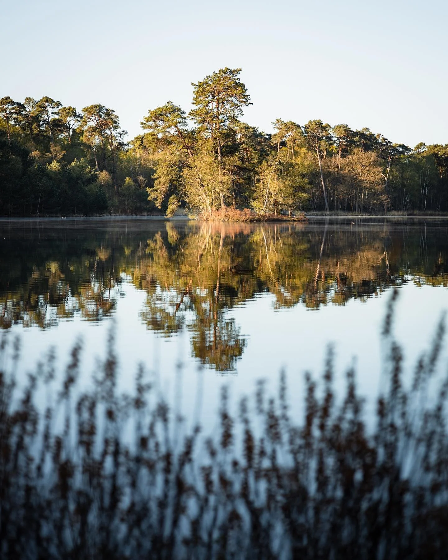 Always such lovely reflections at the &ldquo;Van Esschenven&rdquo; in Oisterwijk! 📷