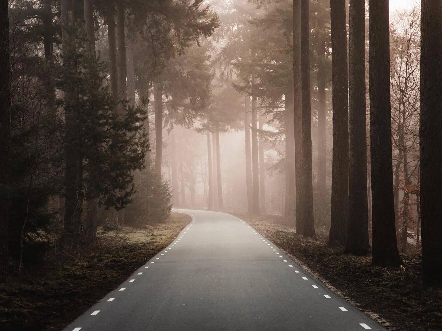 Although it&rsquo;s not that long, it&rsquo;s one of the most beautiful roads in the Netherlands. A great entrance to one of the most magical forests. 

.
.
.
.
.
#aintbad #solarcollective #lightzine #minimalzine #la_minimal #exploreobserveshare #ign