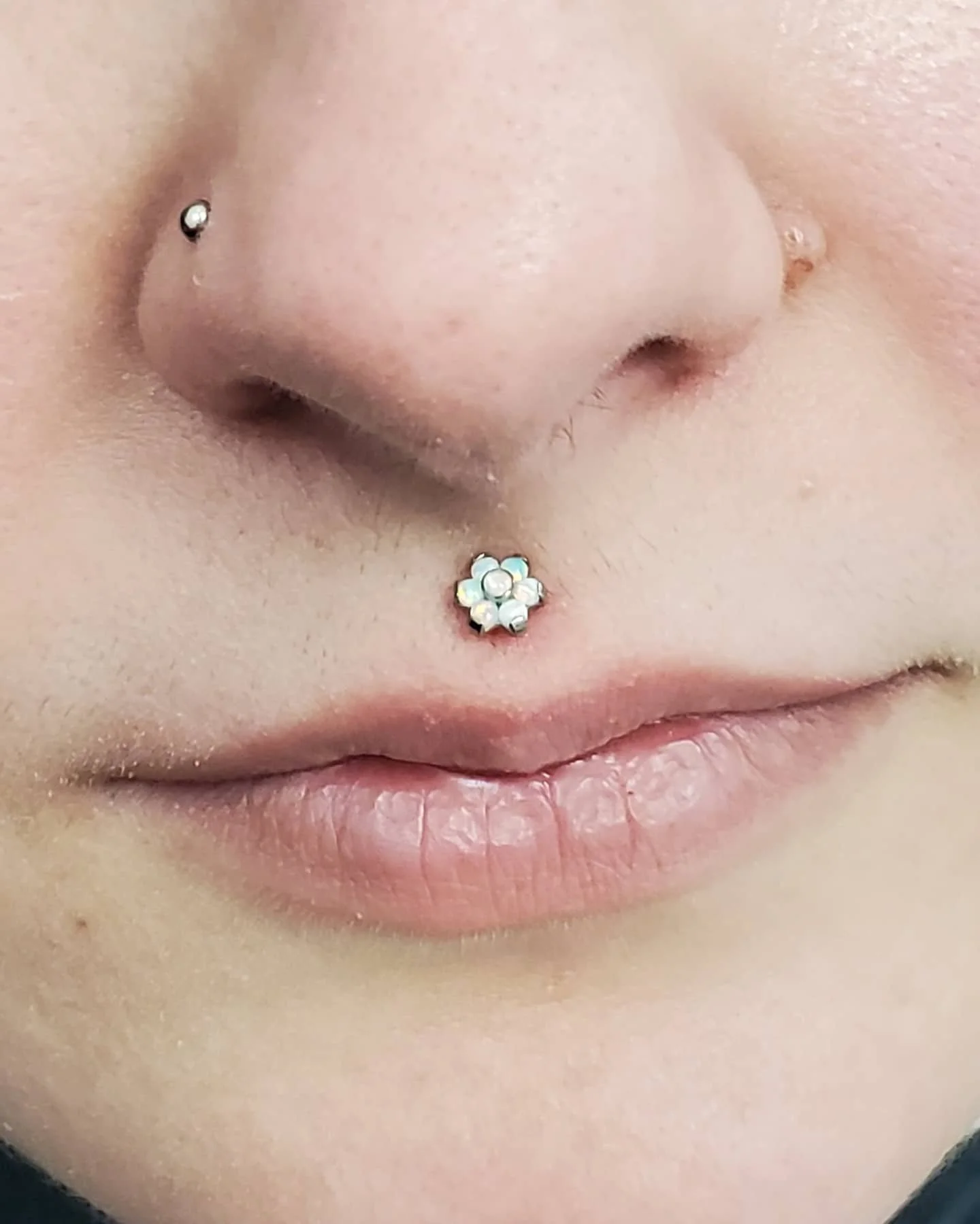 Fresh Medusa/Philtrum by Nate with a white opal flower top #bodyanthology #northolmsted #ohiopiercer #professionalpiercing #professionalpiercer #piercing #piercer #lippiercings #philtrumjewelry #philtrumpiercing #philtrumpiercings