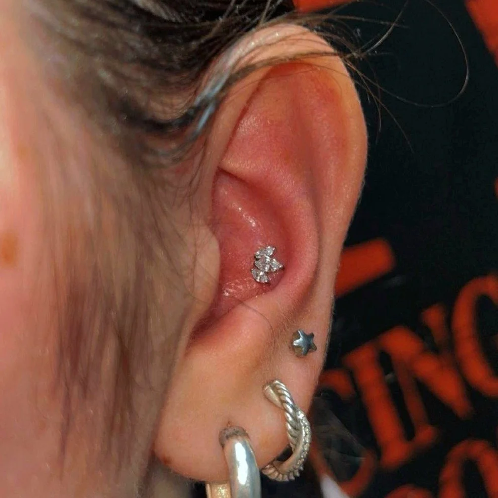 Fresh Conch piercing with a Titanium CZ Marquise Fan end by Nichole.  Visit www.bodyanthology.com to book an appointment. #bodyanthology #northolmsted #ohiopiercers #piercersofinstagram #bodypiercer #professionalpiercer #piercing #professionalpiercin