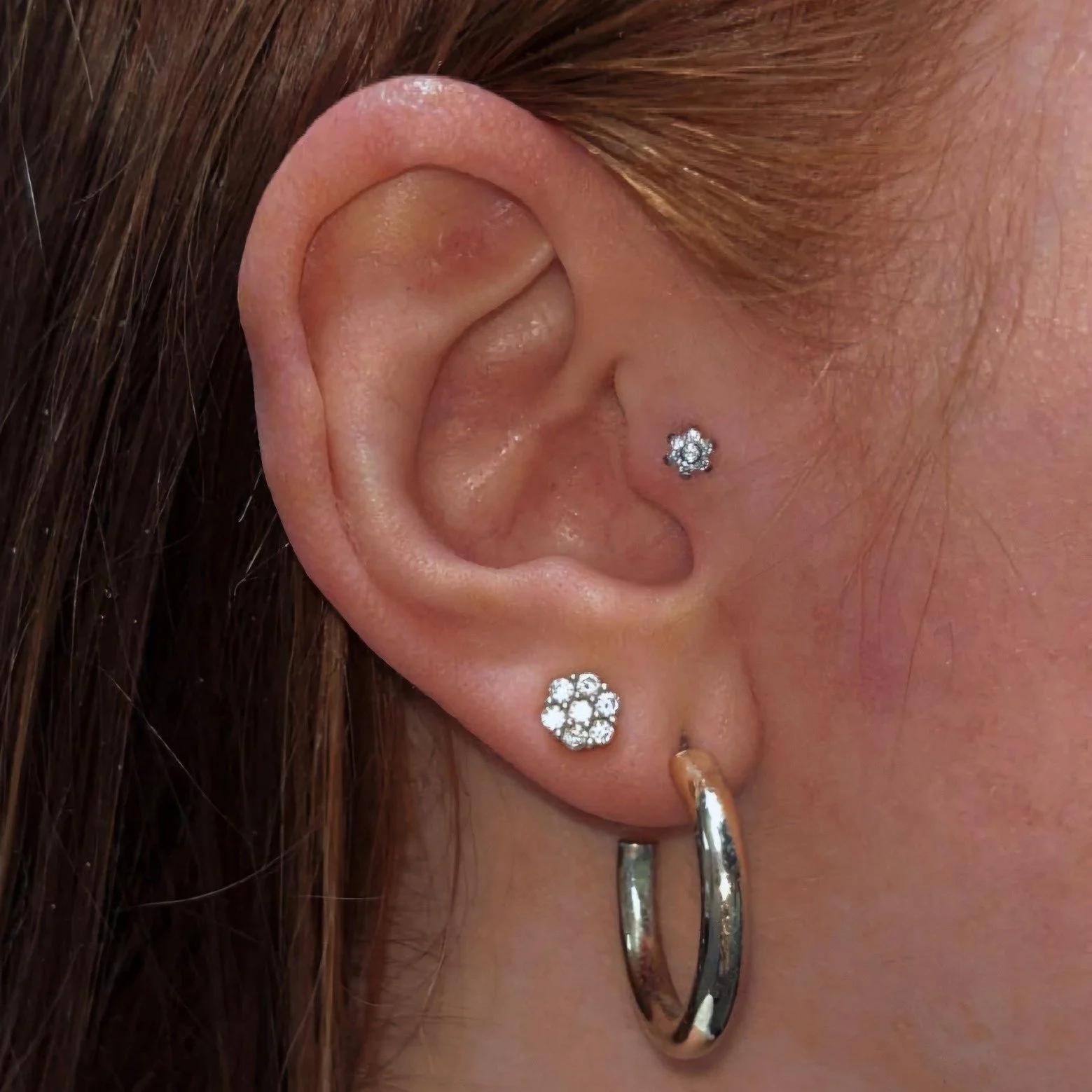 A clean looking pair of CZ flower tops in a Tragus / Ear lobe combo by Nichole. To make an appointment, visit www.bodyanthology.com. #bodyanthology #northolmsted #professionalpiercer #bodypiercer #ohiopiercers #piercing #femalepiercer #piercersofinst