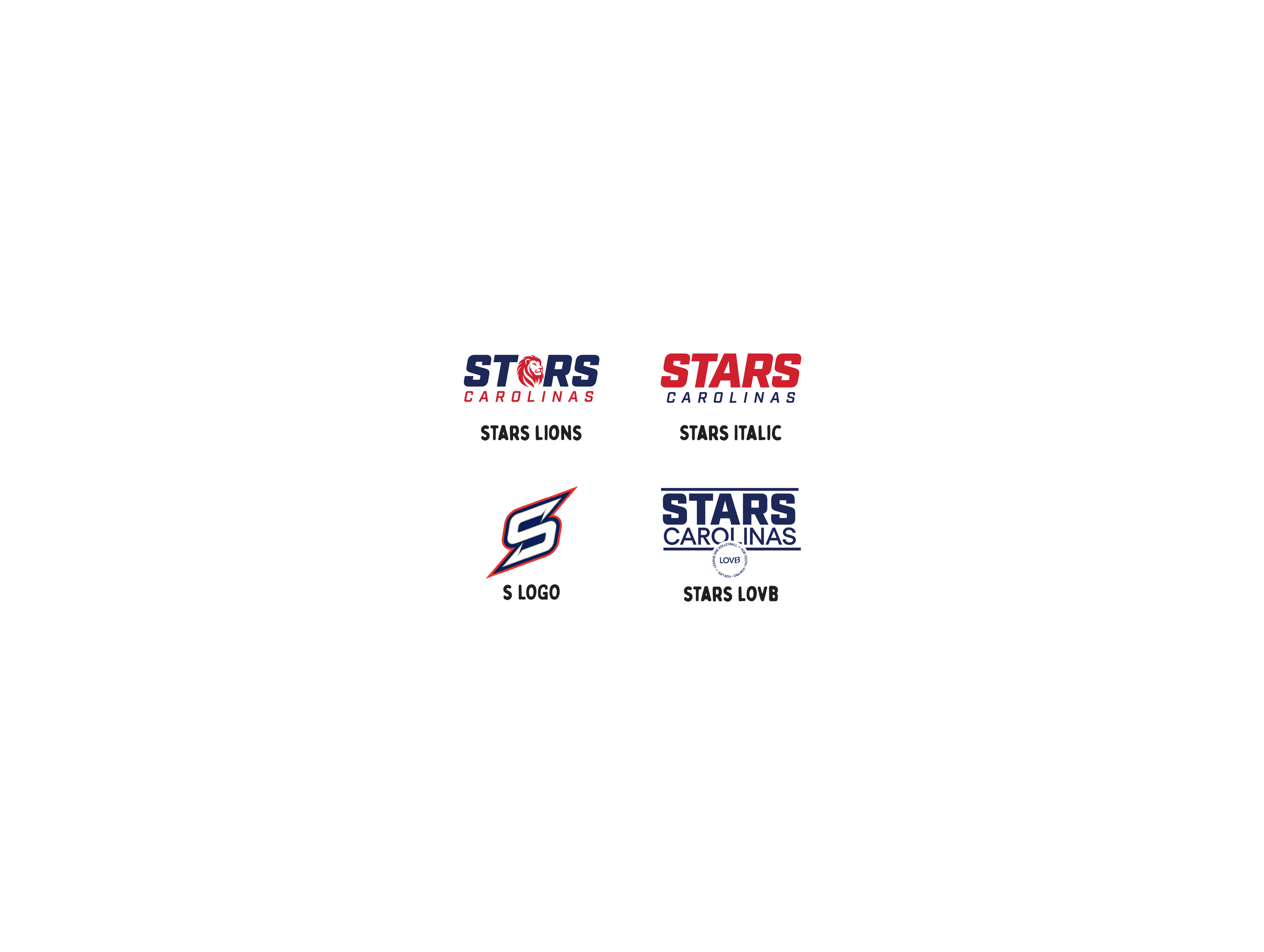 logo options.png