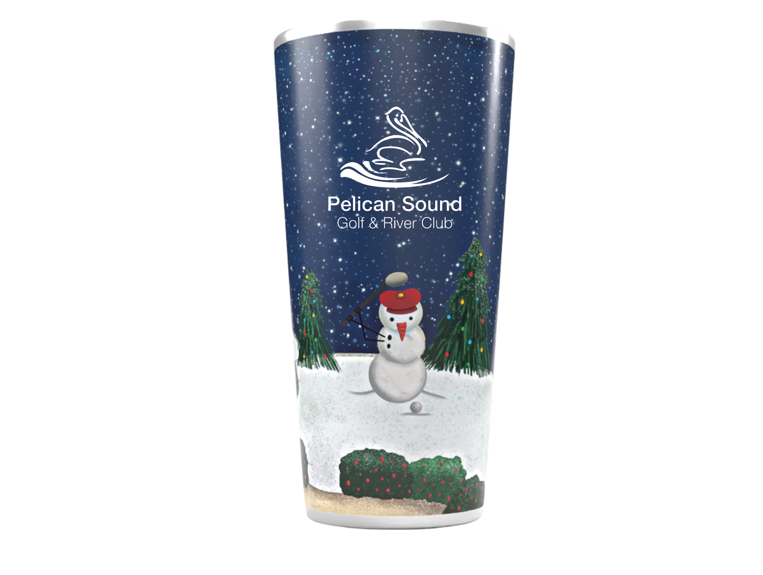 Pelican_Snow.png