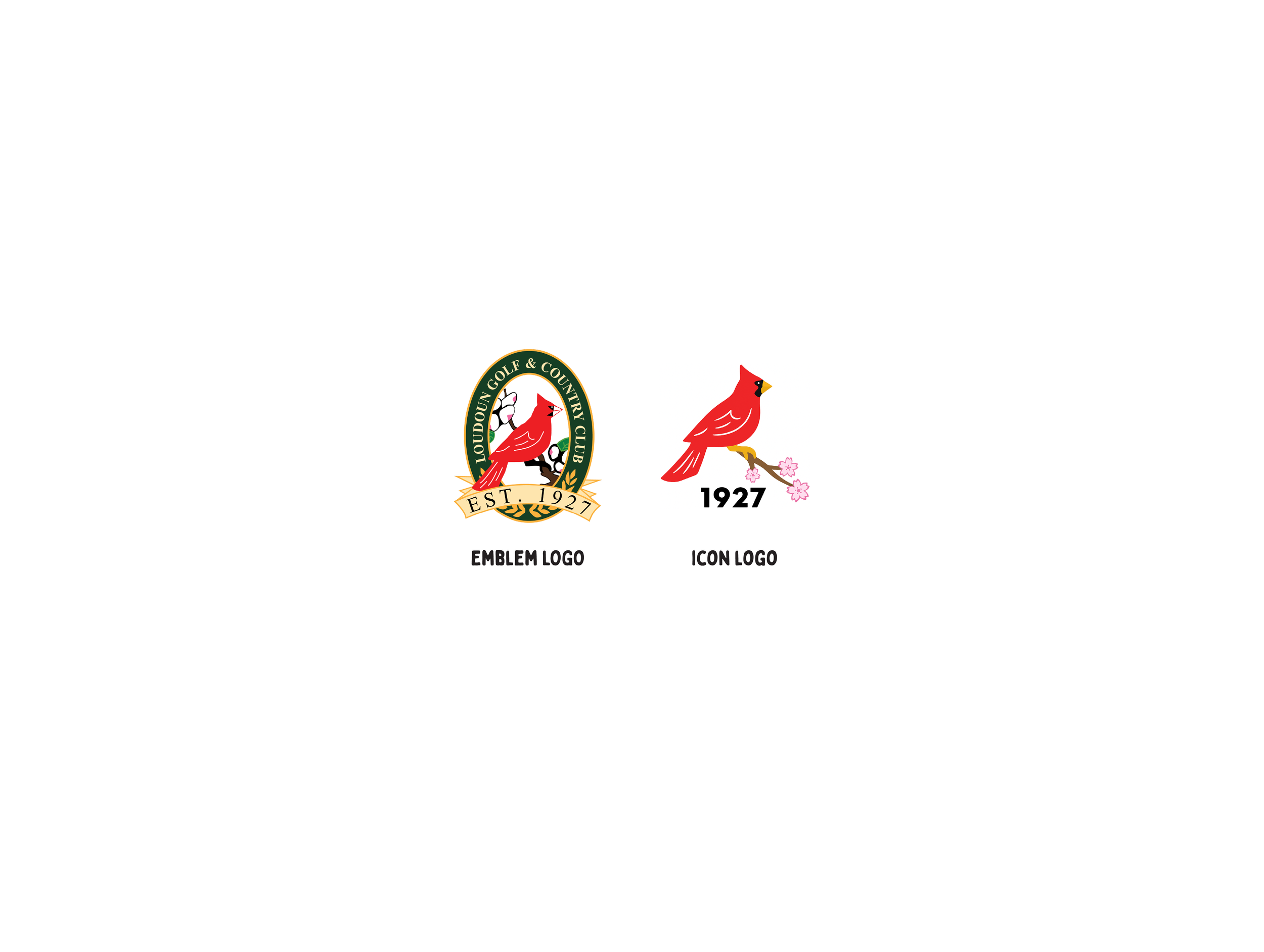 logo options.png