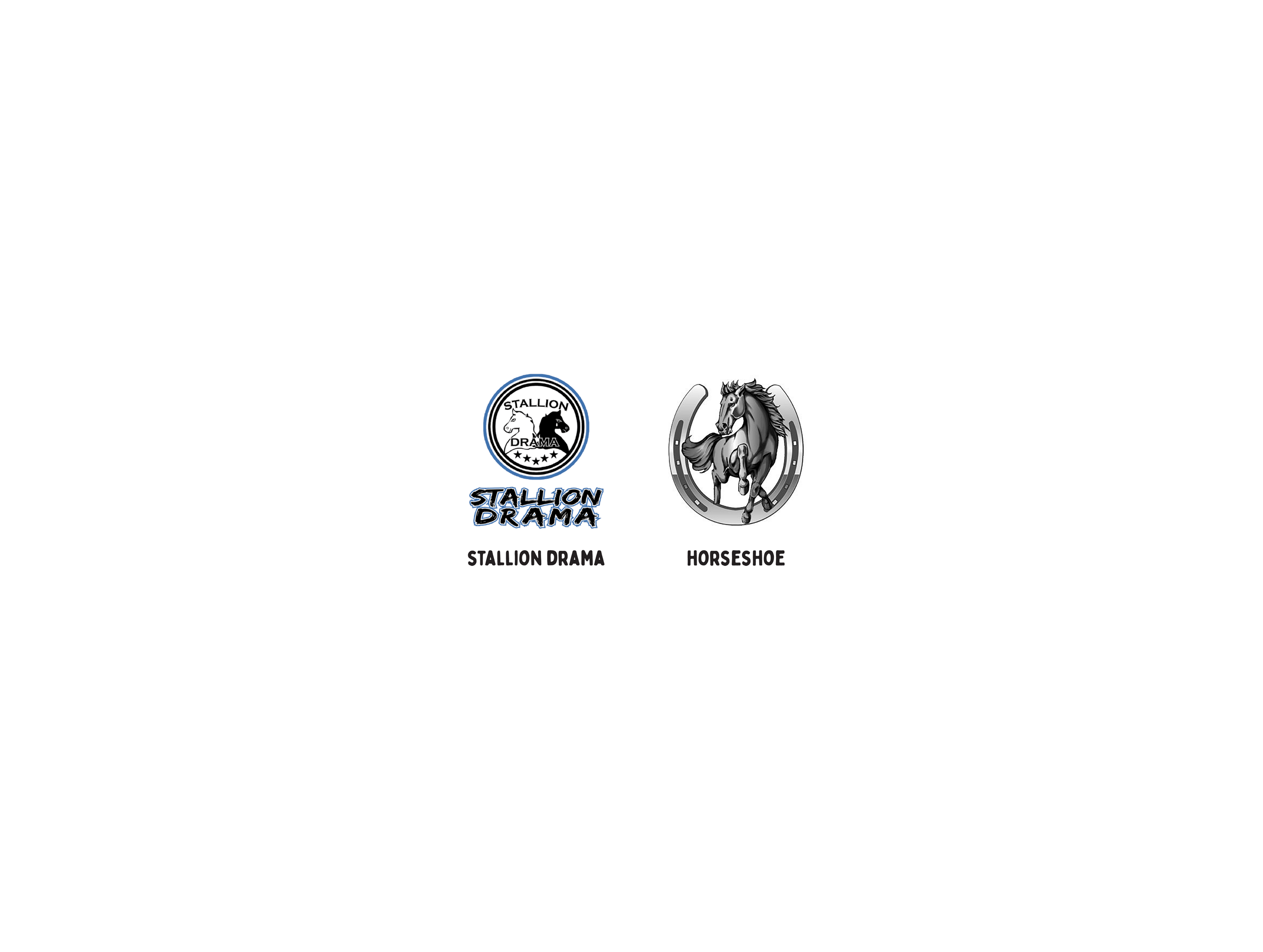 logo options.png
