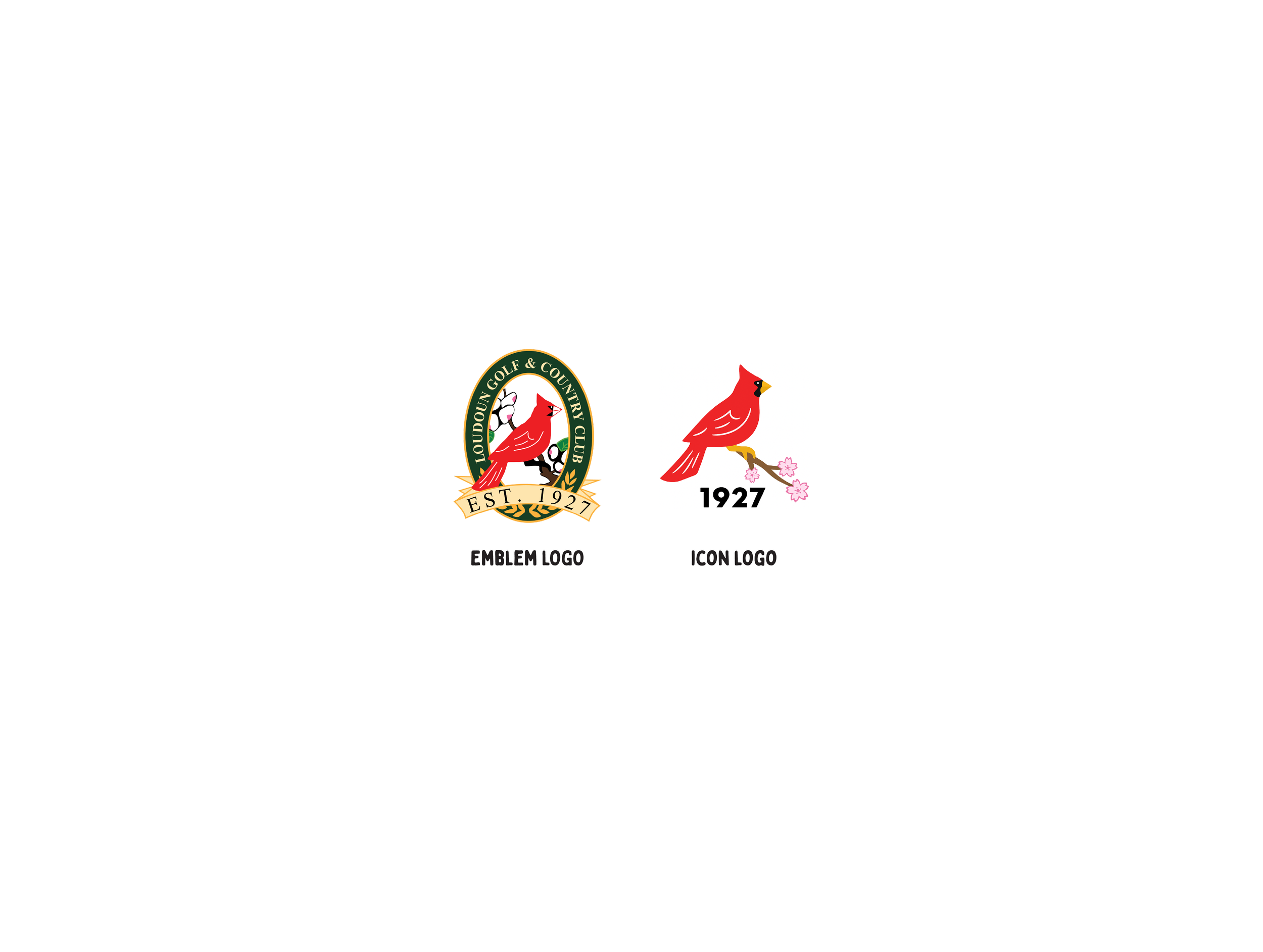 logo options.png