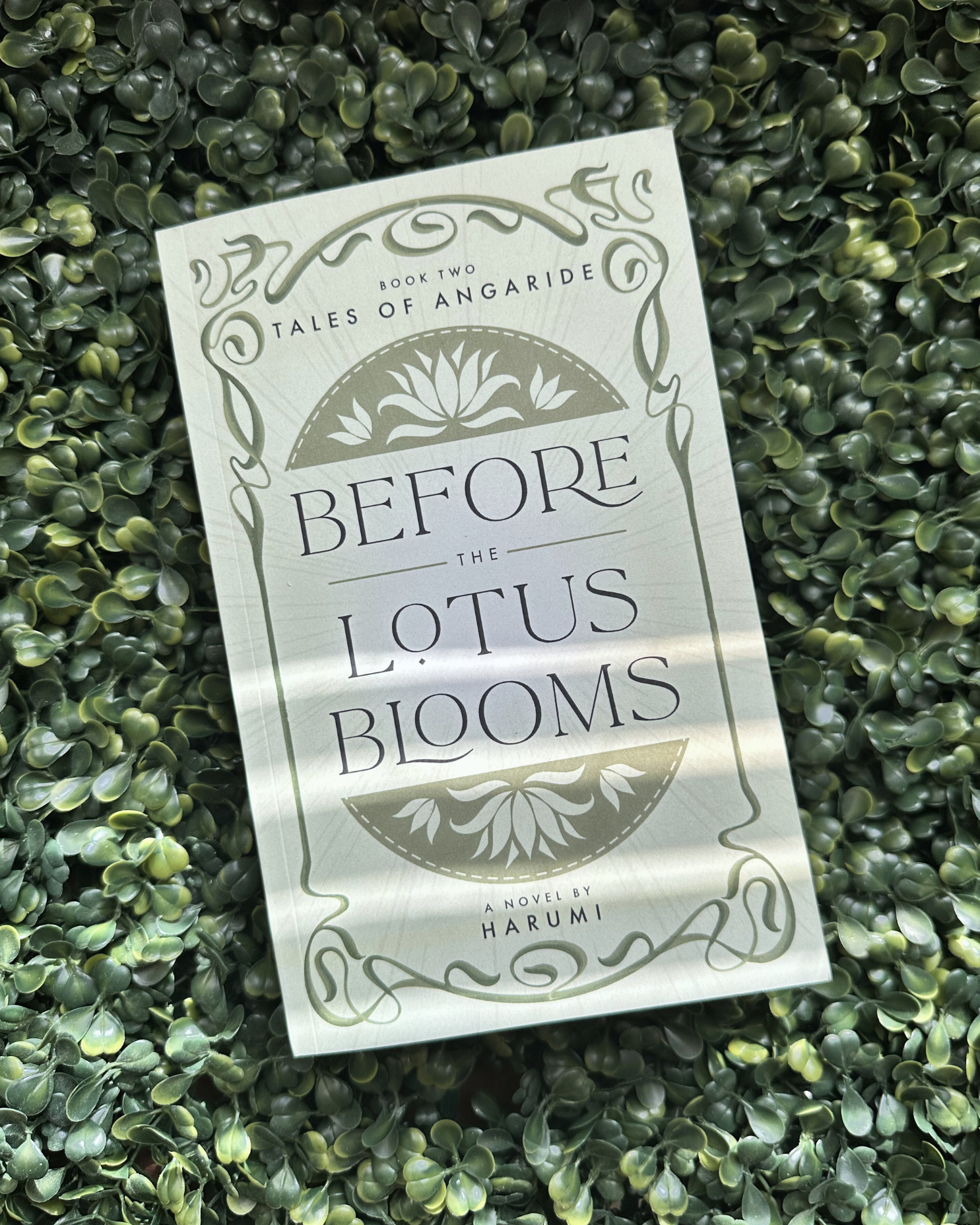 before the lotus blooms is here. 