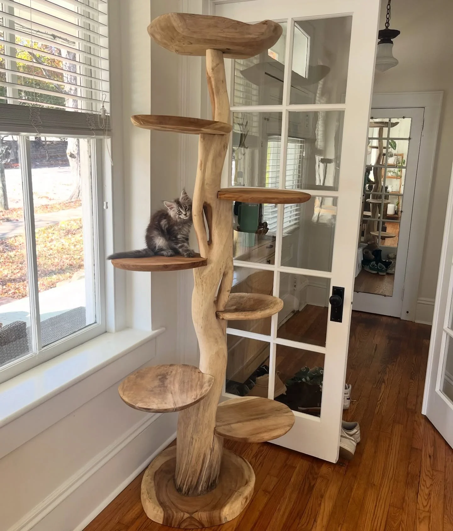 A functional cat tree that&rsquo;s also a fashionable piece of furniture? That&rsquo;s Wheezit for ya! 🐱✨

We love seeing your furbabies enjoying their towers! How precious is this kitten? 😻❤️
#kittencuteness #woodfurniture #catfurniture