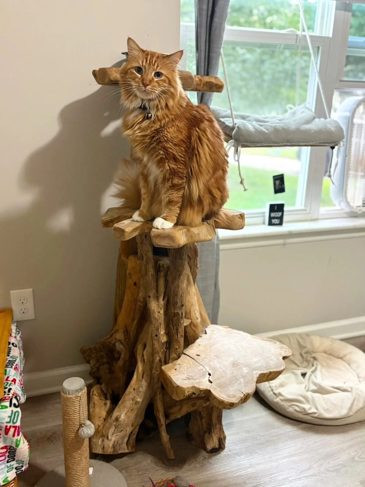 Visit us this Saturday Dec. 6th at the @makrs holiday fest in downtown Raleigh! 11am - 6pm on Fayetteville Street 🐱🎄❤️
We&rsquo;ll be there with great gifts for your holidays shopping, including our decorative teak bowls and variety of artisanal ca