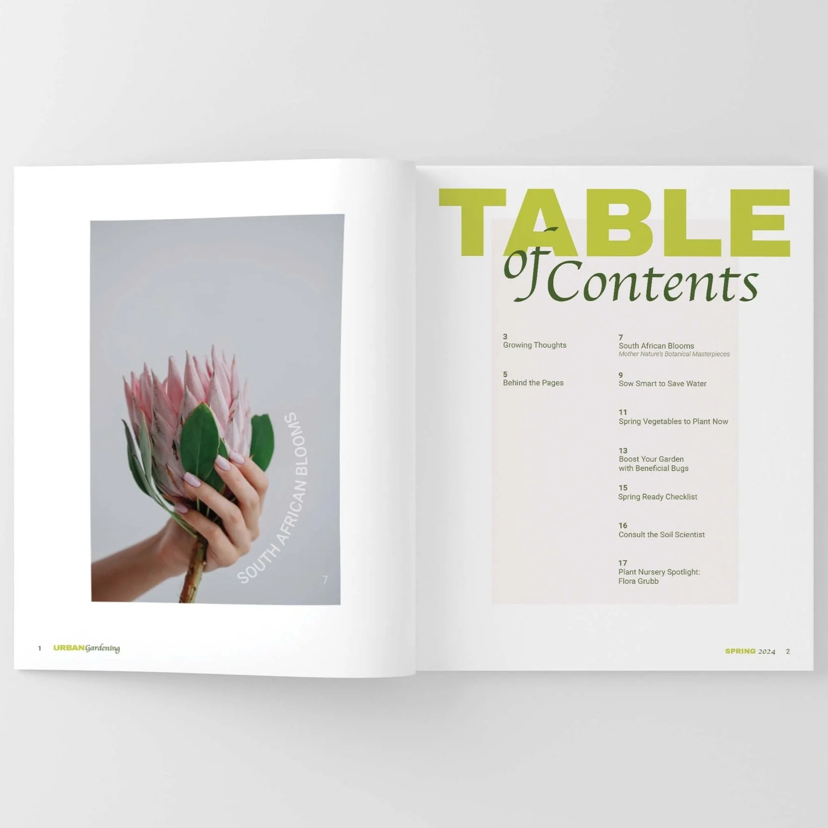 MariaClaytonart&design_URBAN Gardening_Spread_Table of Contents.jpg