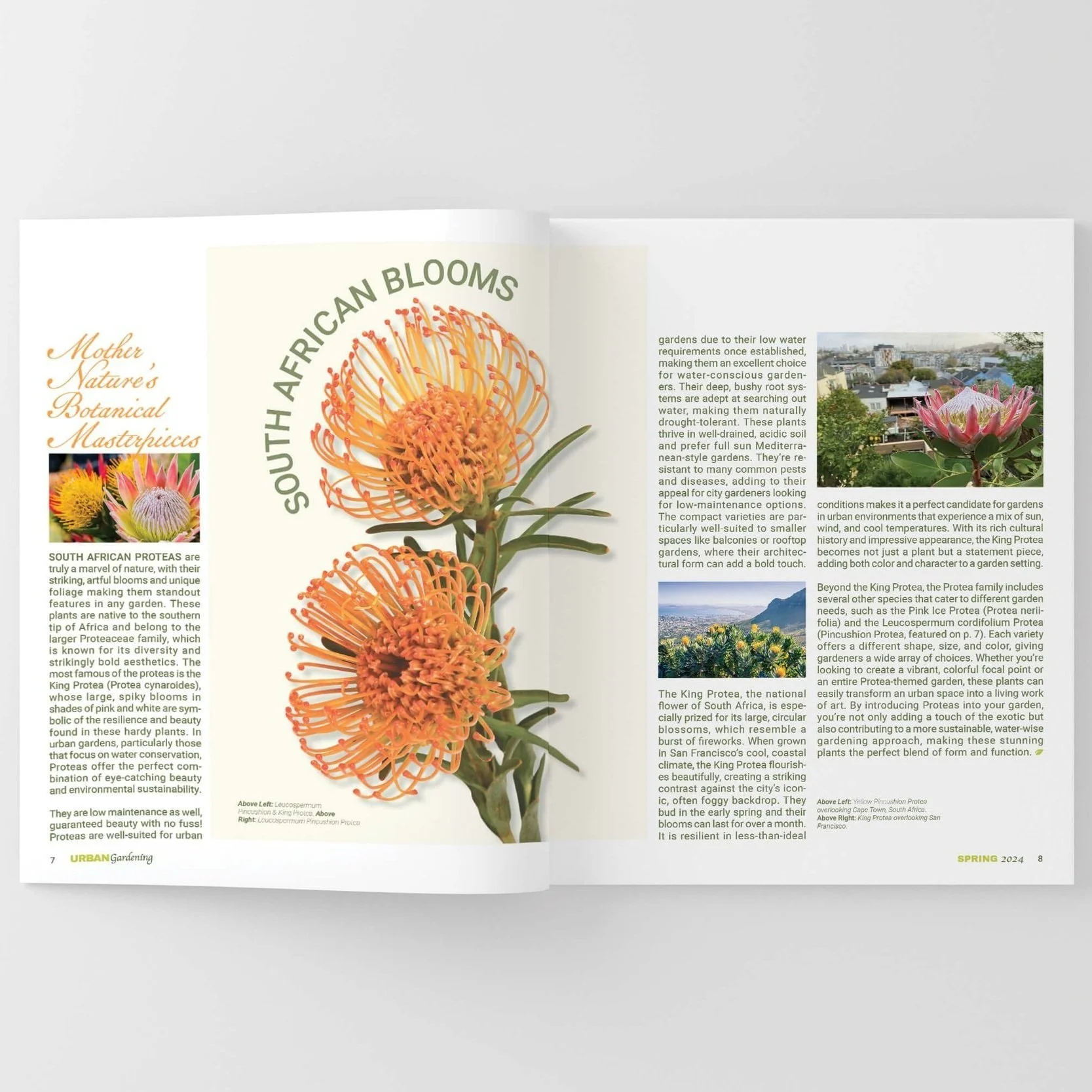 MariaClaytonart&design_URBAN Gardening_Spread_South African Blooms.jpg