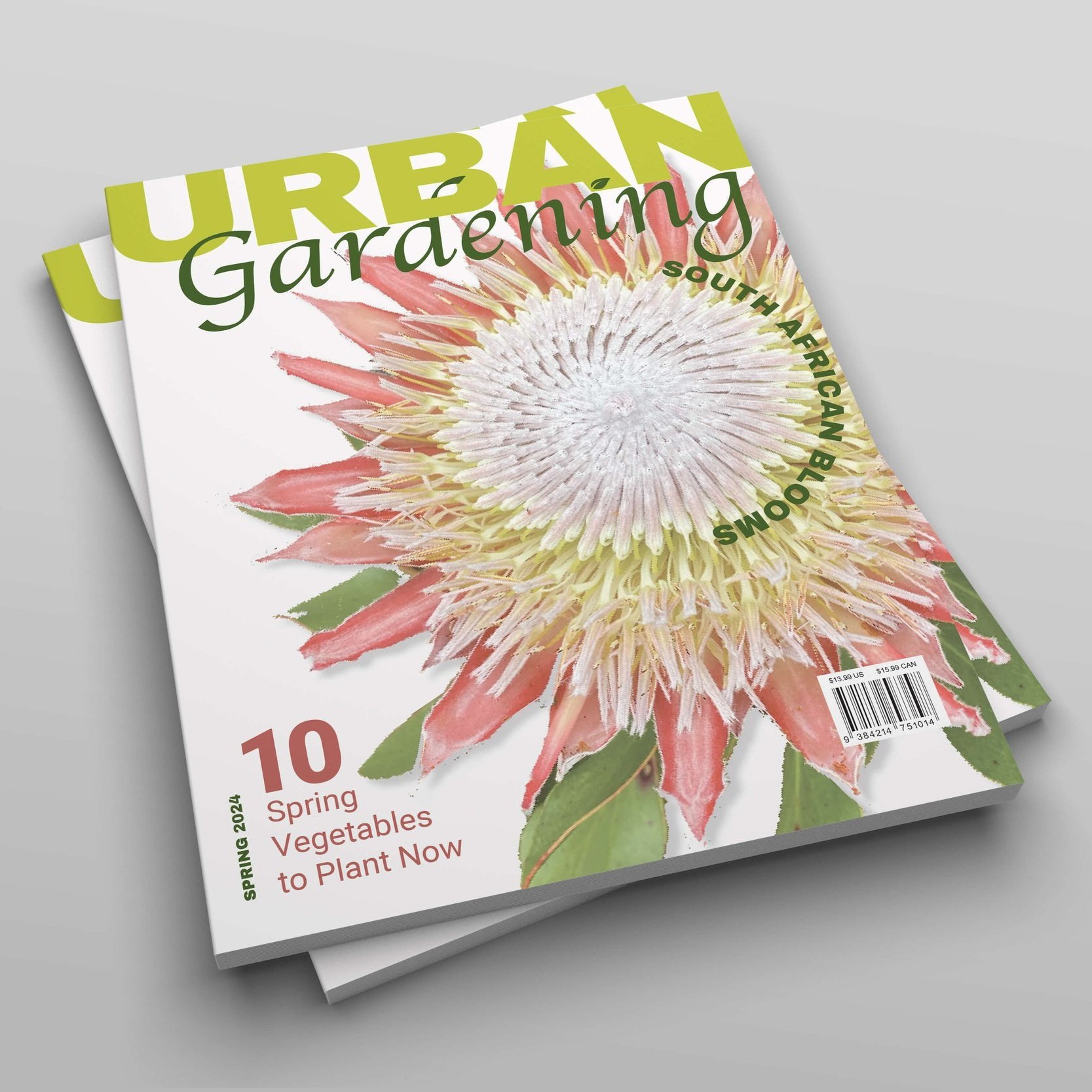 MariaClaytonart&design_URBAN Gardening_Stack of Mags Mockup_Spring 2024.jpg