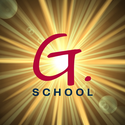 1.6 397 G.school  #167  What is your why? [?][!] 
