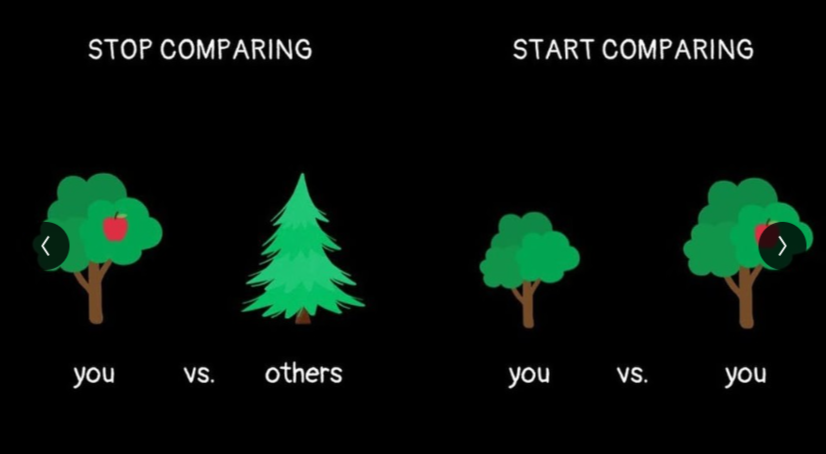 2.4 329  The TV Show: Day #1  [??] 