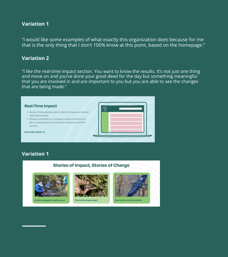 Screenshot of usertesting findings