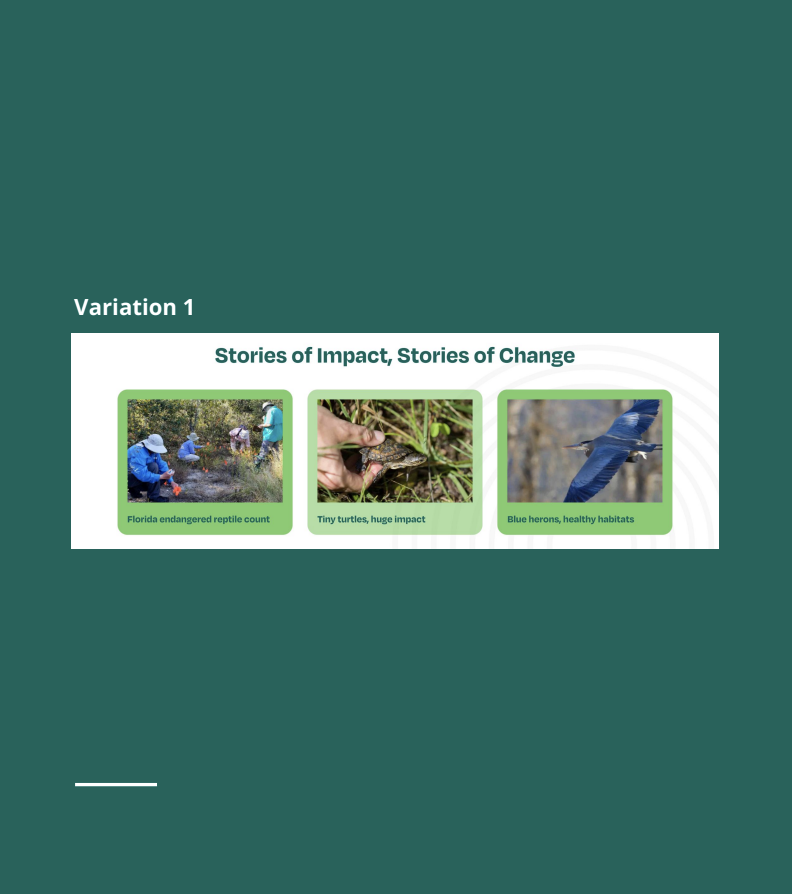 Screenshot of usertesting findings