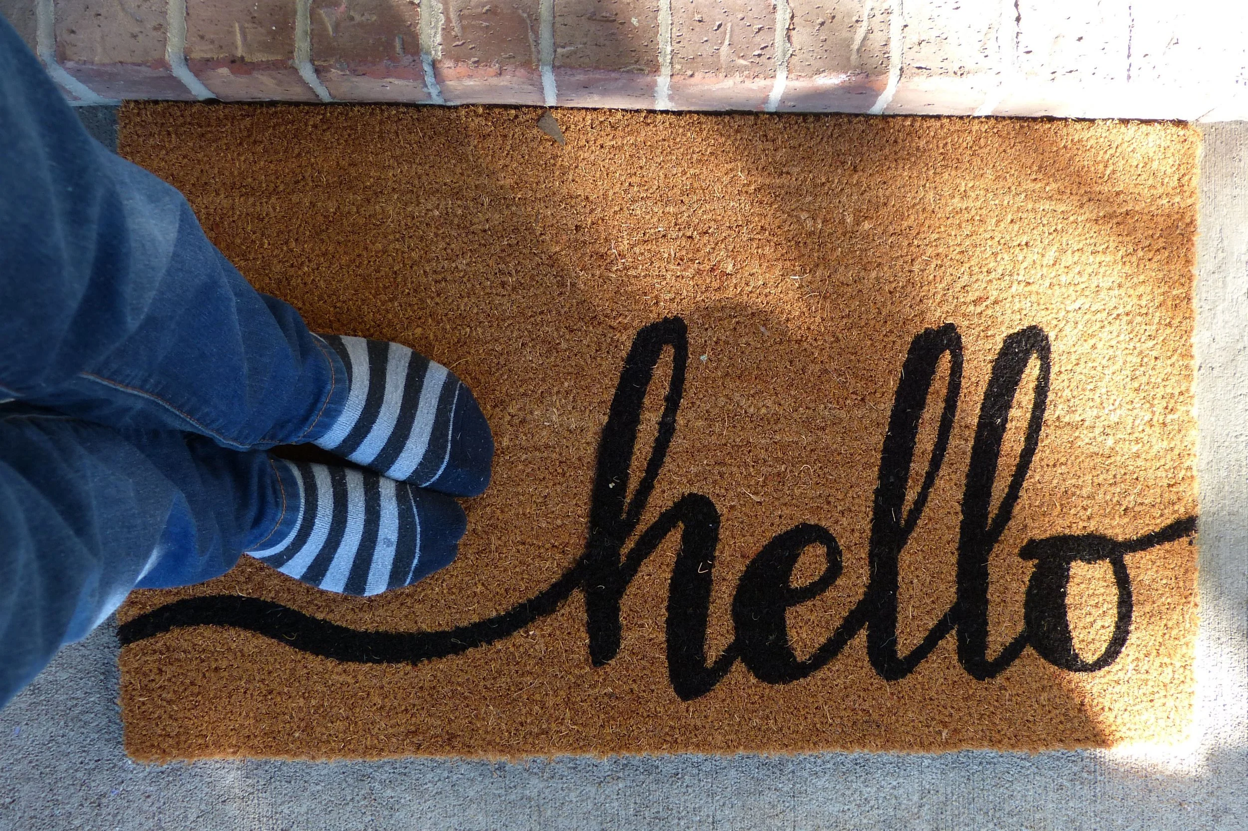 Rug Afternoon