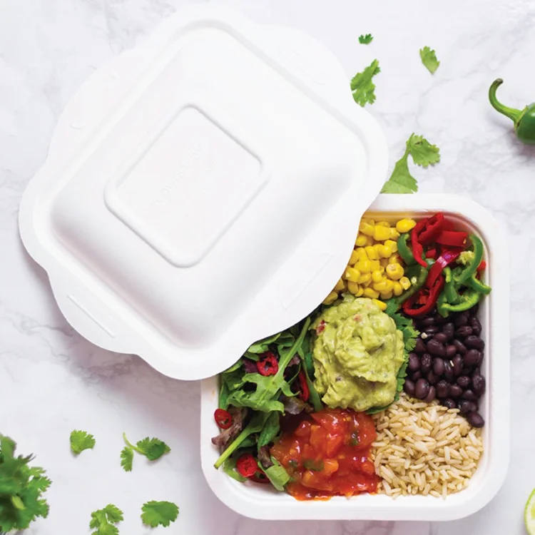 Compostable Food Containers with Lids - Caribbean, Central America ...