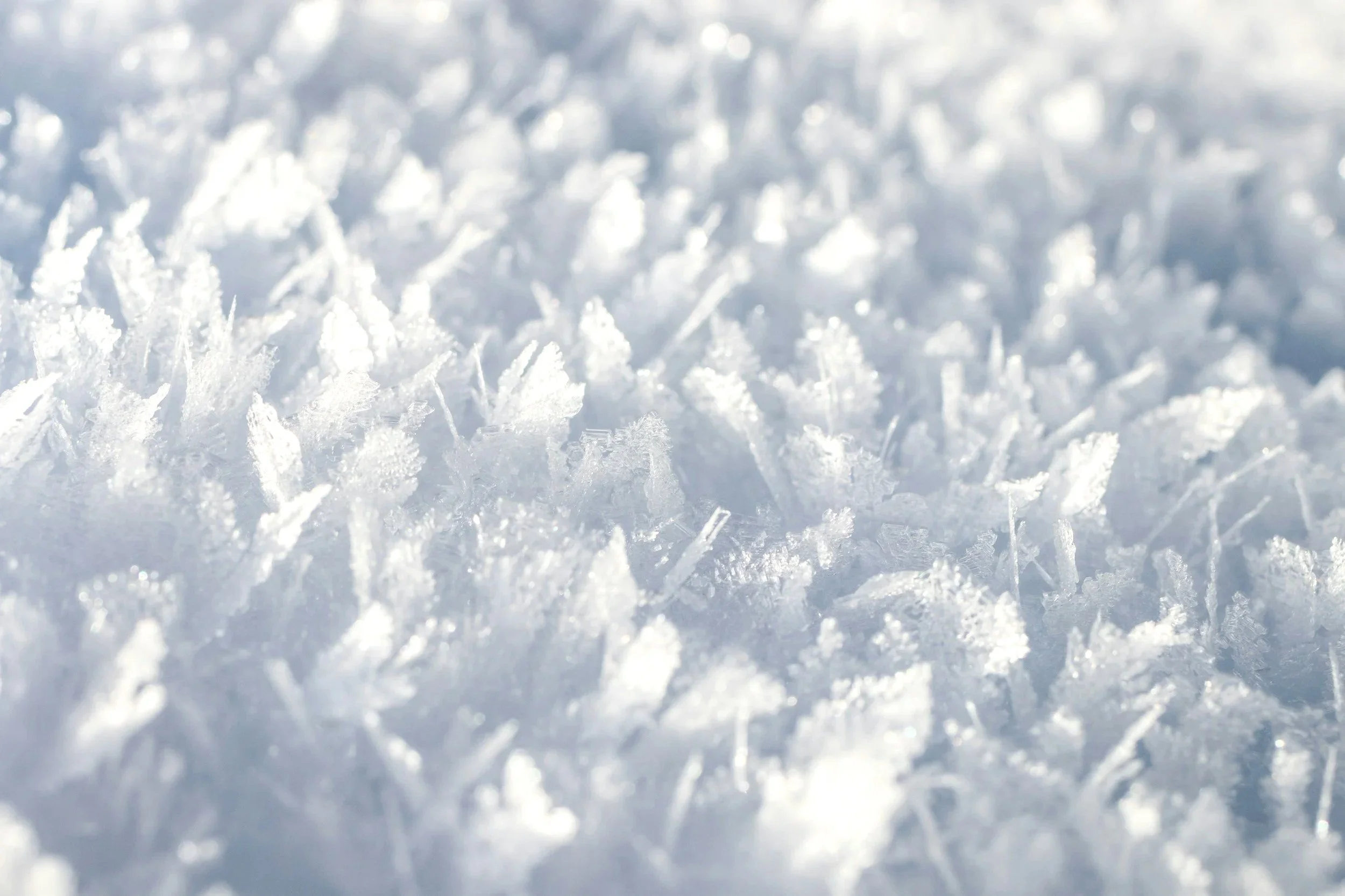 B2B Marketing Digest - December 2025