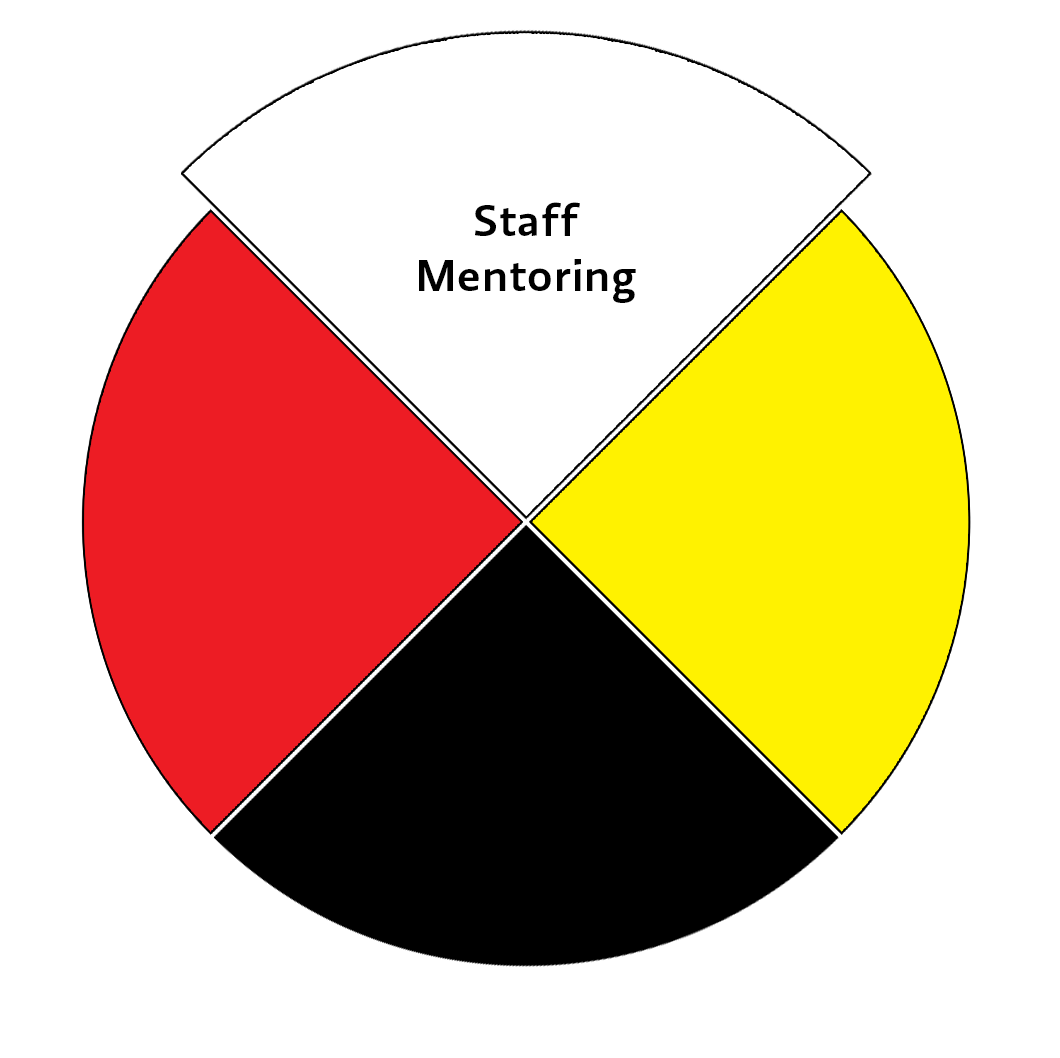 Medicine Wheel - Staff Mentoring