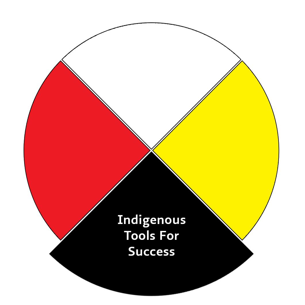 Medicine Wheel - Indigenous Tools for Success