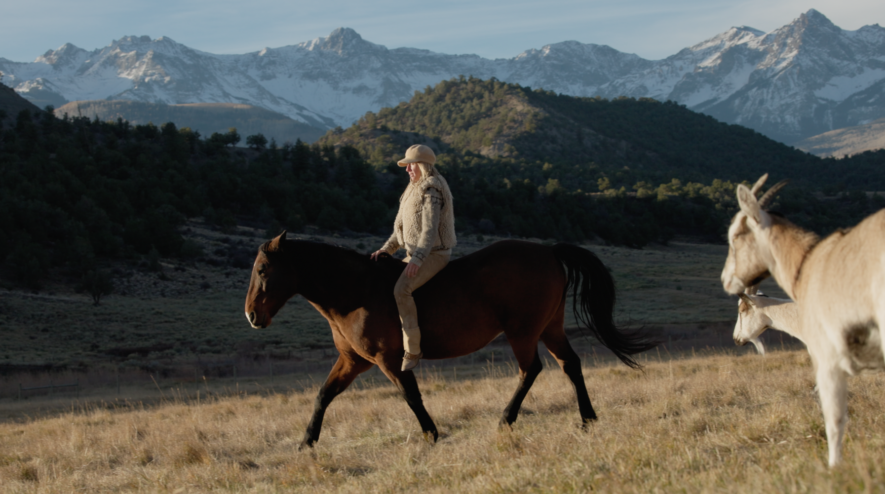 Dance of the Wild at Petits Salons