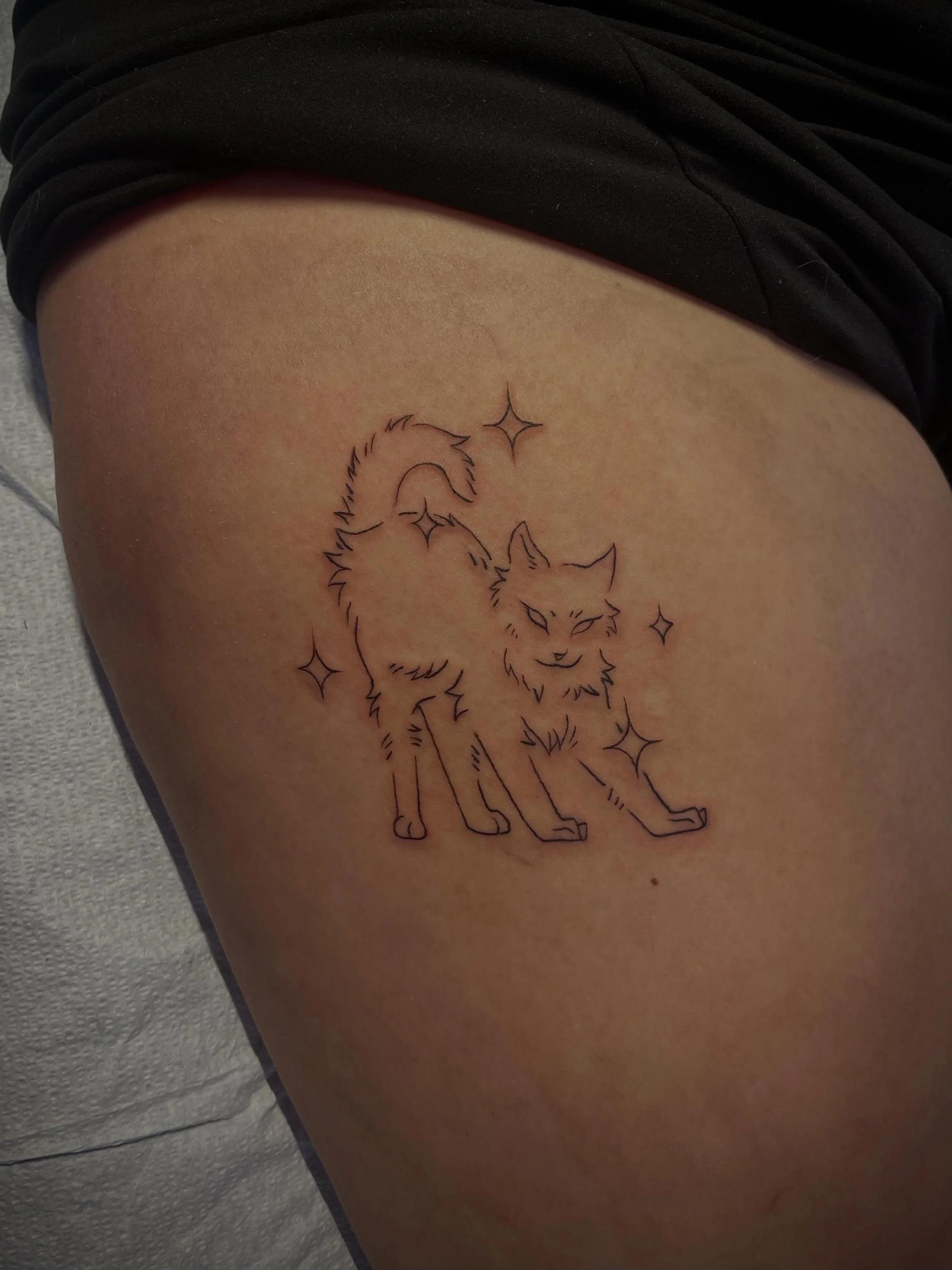 Sparkly little kitty ✨🩷🪽

#bendoregontattoo #localtattooartist #flashtattoo #cattattoos #flashevent