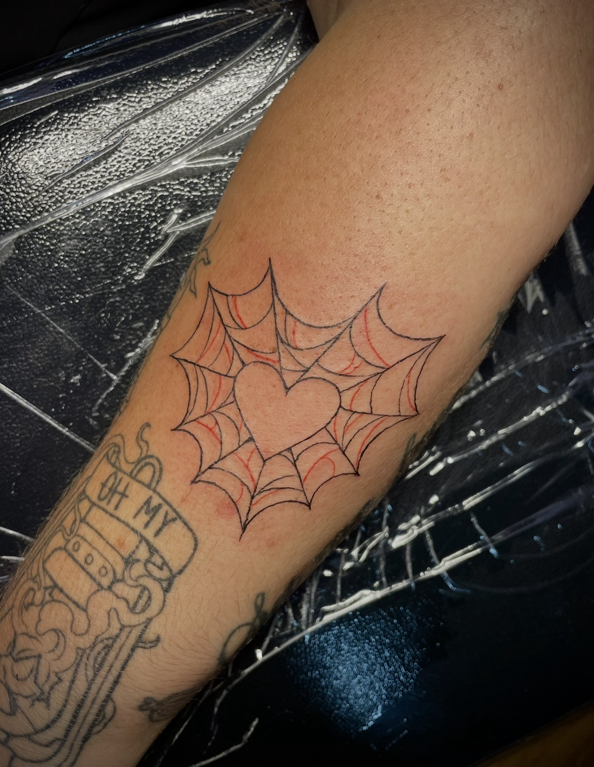 TAT9-SPIDERHEART.png