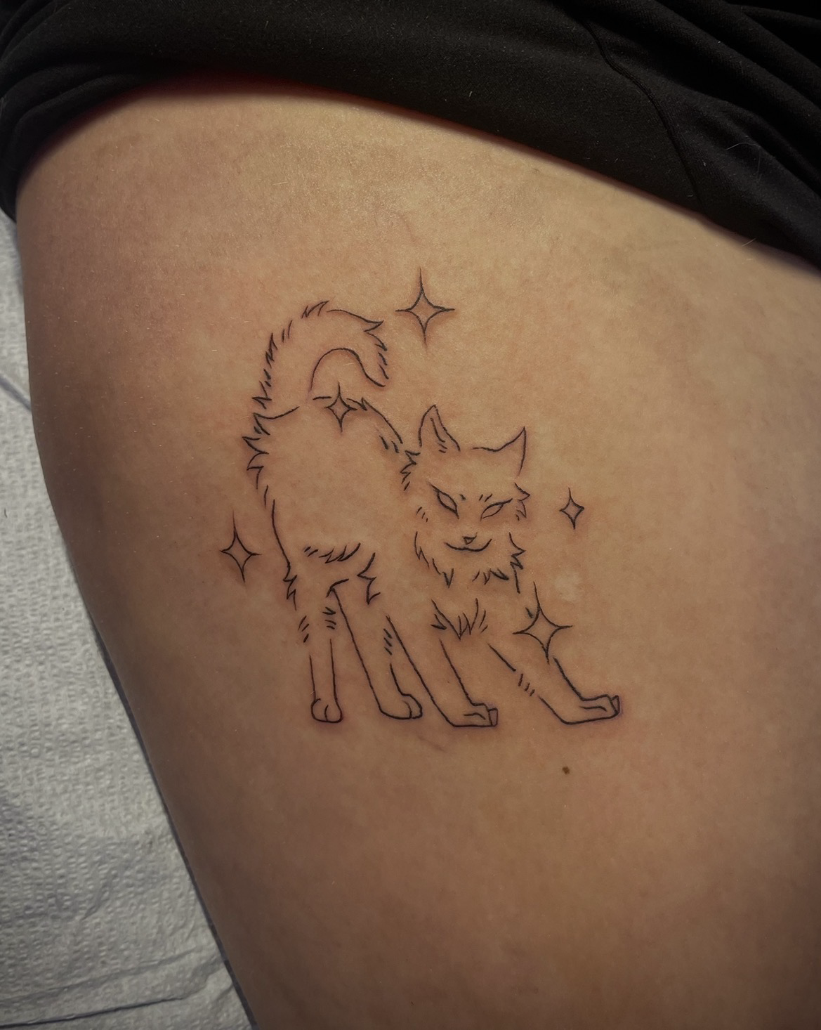 TAT6-SPARKLE-KITTY.png